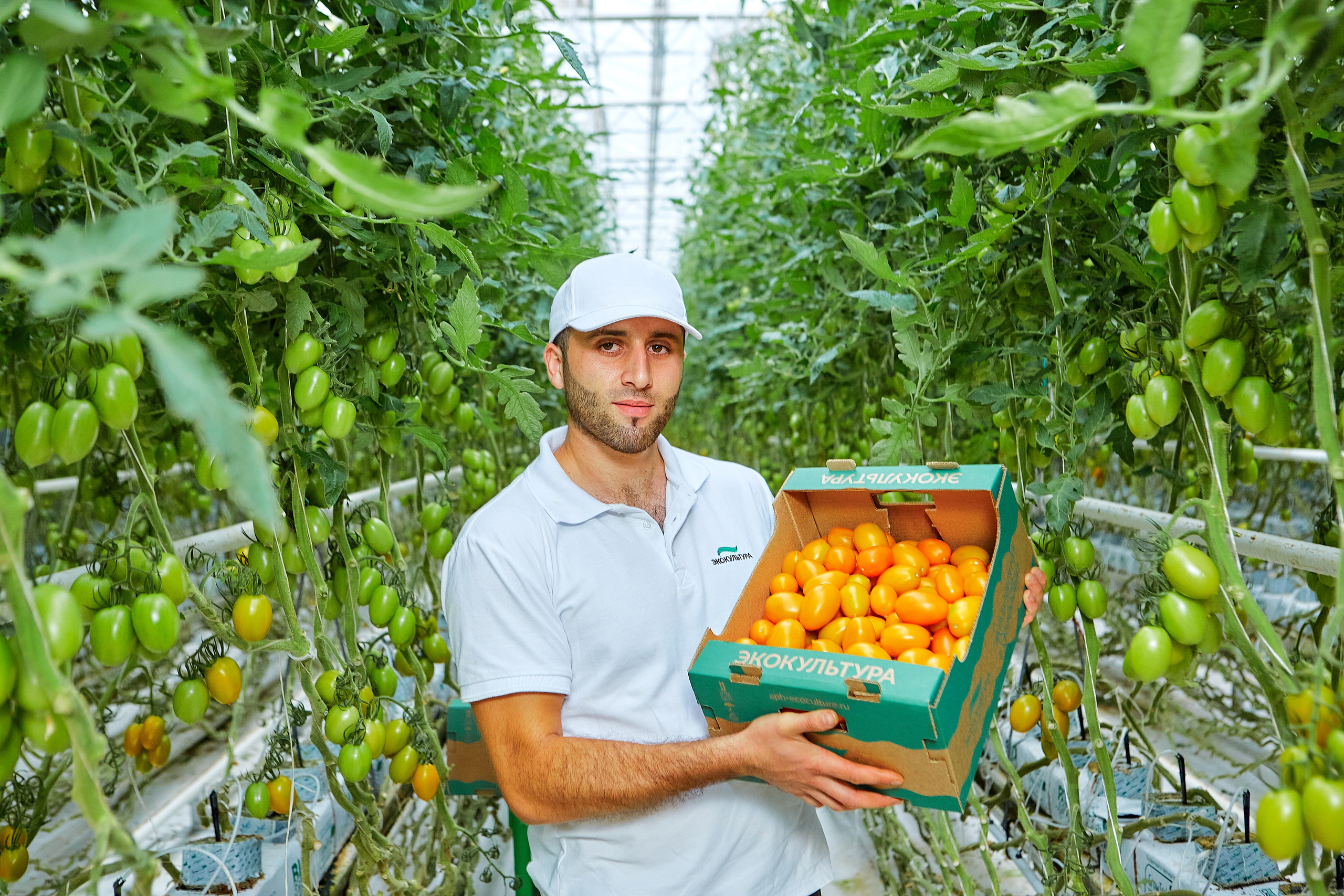 Эко-Культура