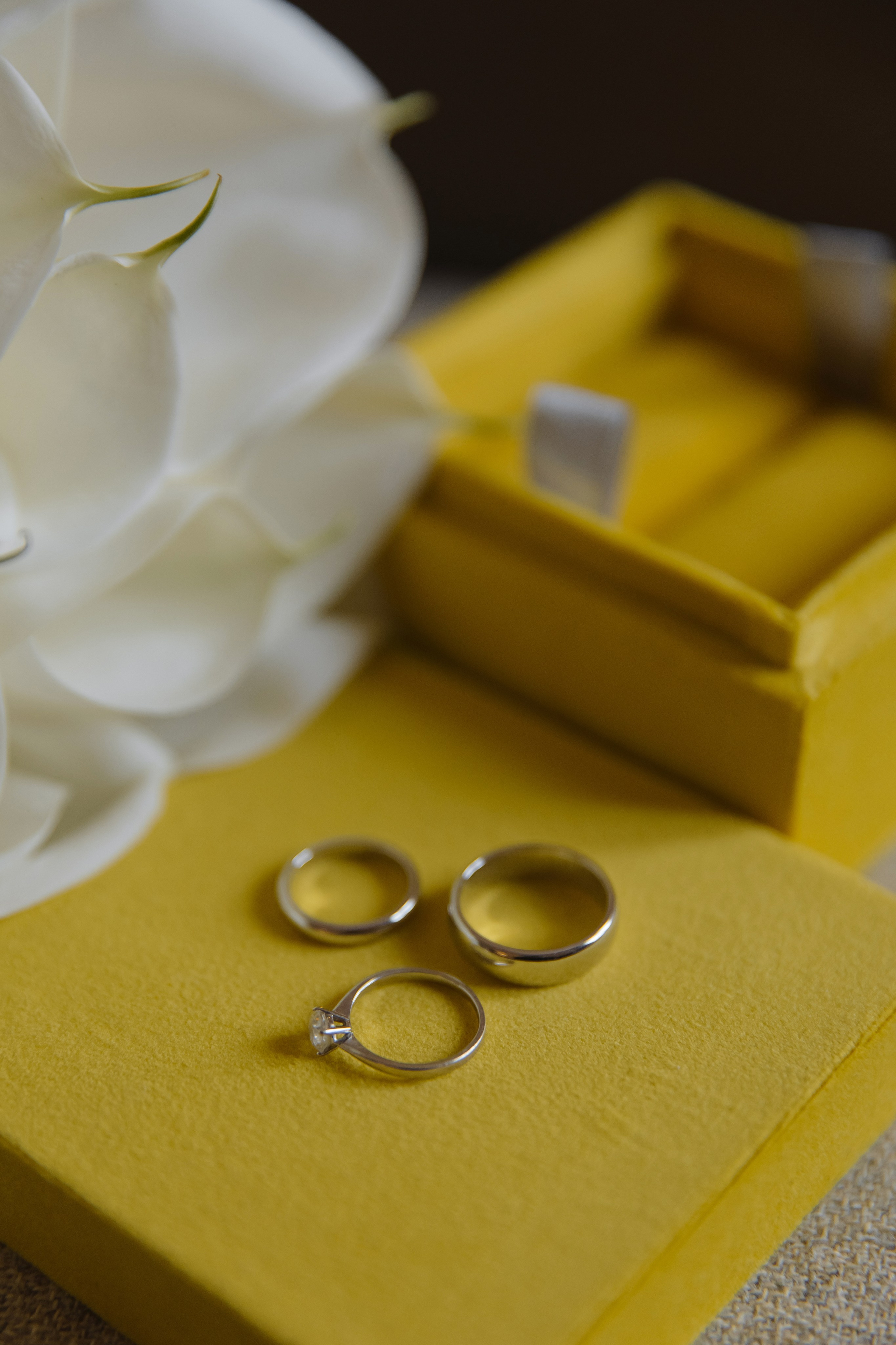 Полина | Тамерлан