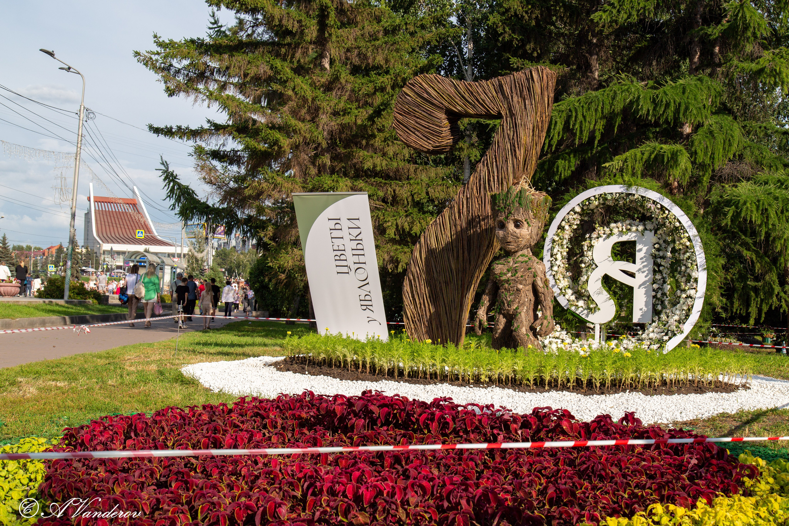 День города 03.08.2024. Фотограф Омск | Александр Вандеров