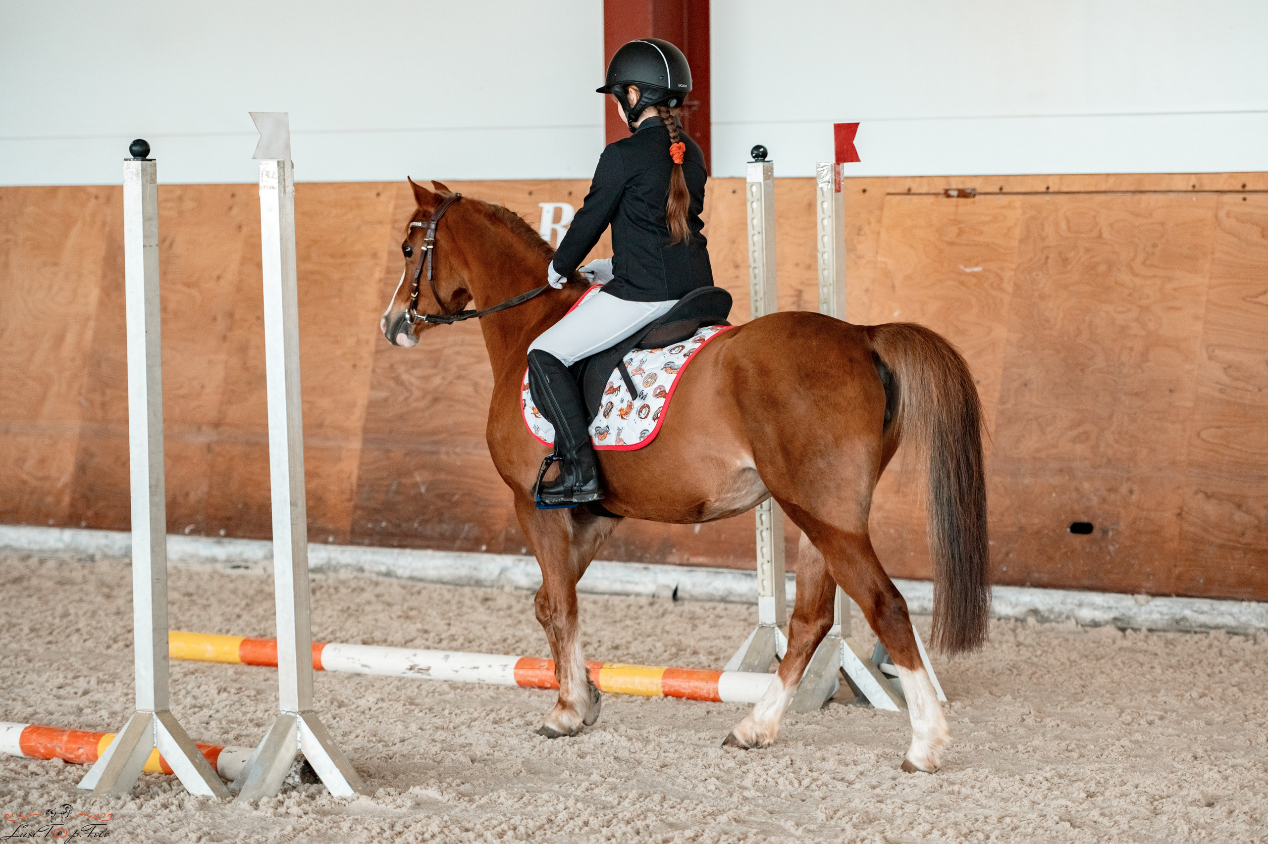 Эквипарк 6 этап Кубка Клубов. Конный и фотограф с животными в Твери Топталова Люся