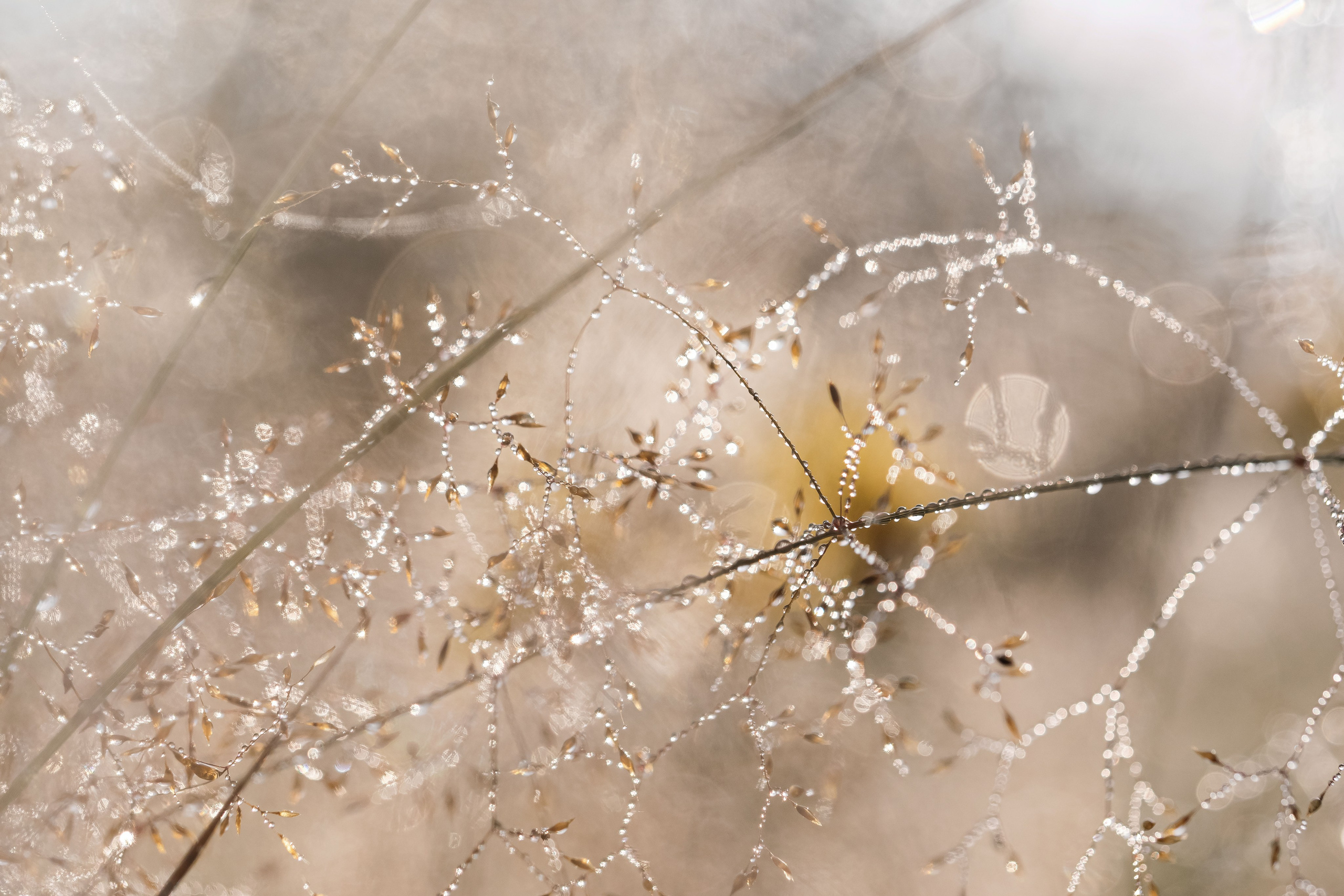 Елена Гонтаренко — художественный портрет. Фотограф в России, Семейный фотограф, репортажный фотограф, детский фотограф, портретный фотограф, контент фотограф, универсальный фотограф