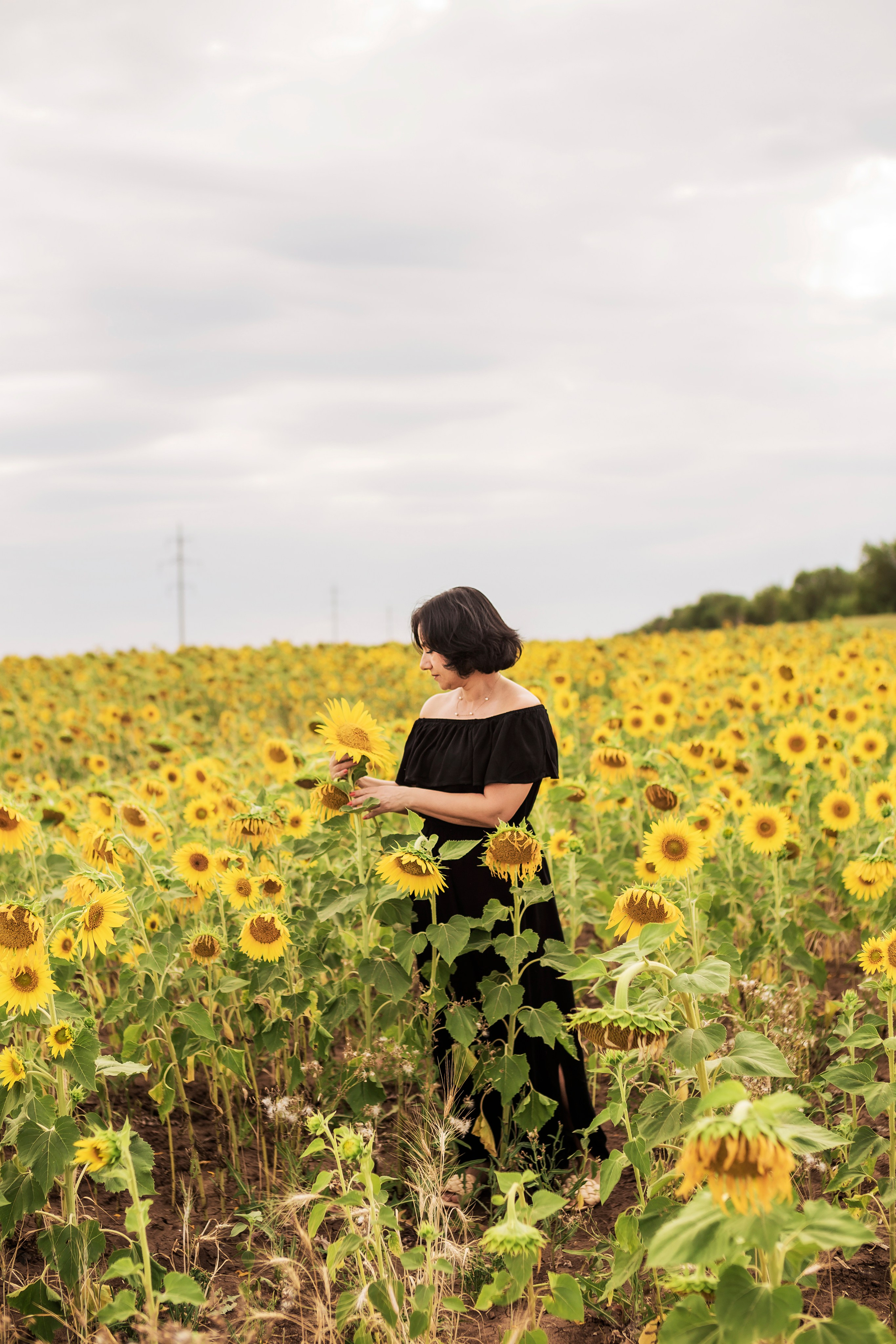 Фото в подсолнухах. Семейный фотограф в Саратове
