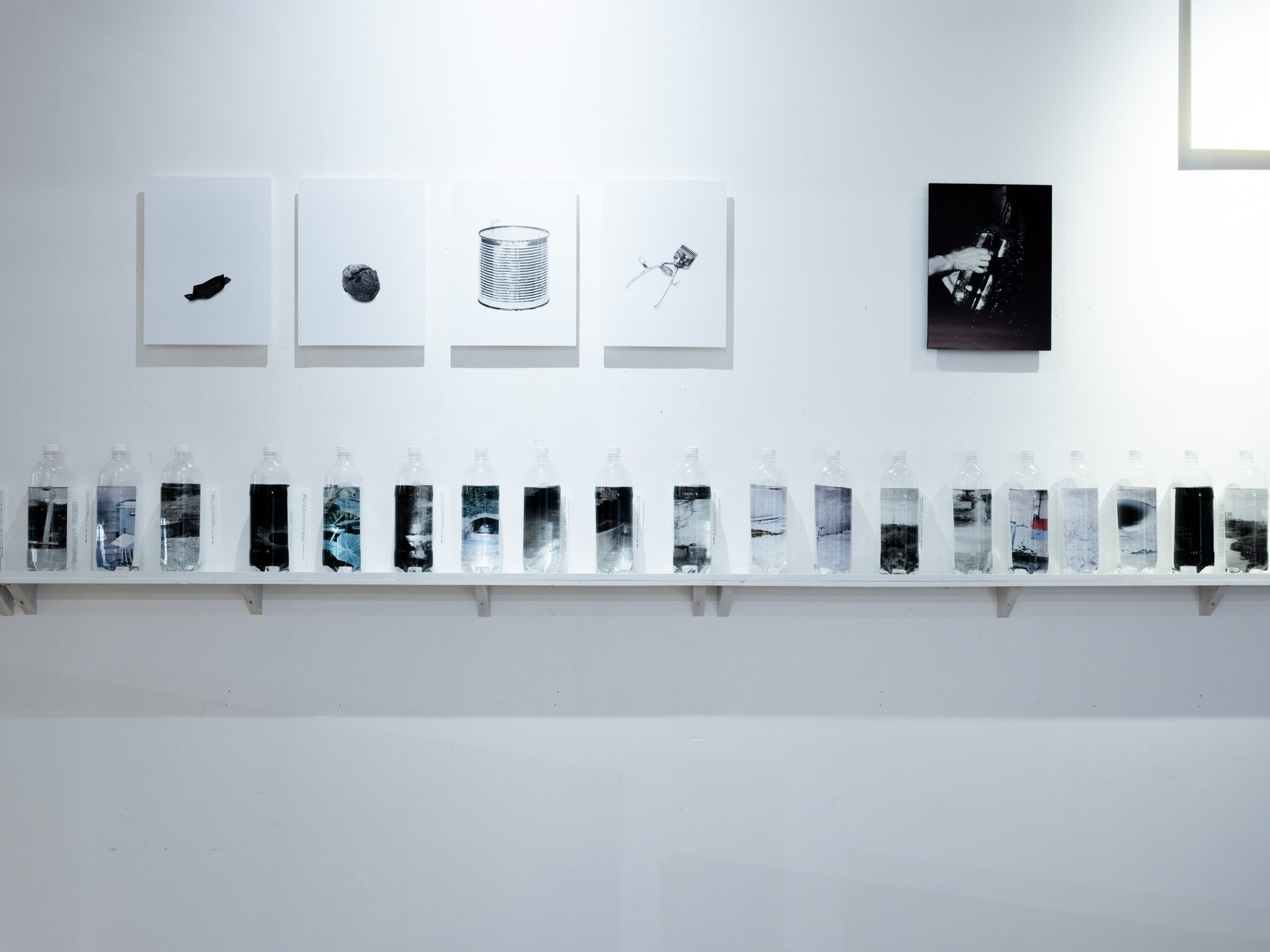 ИНТЕРВЬЮ С АВТОРАМИ: MOE SUZUKI. Самоорганизация Низина