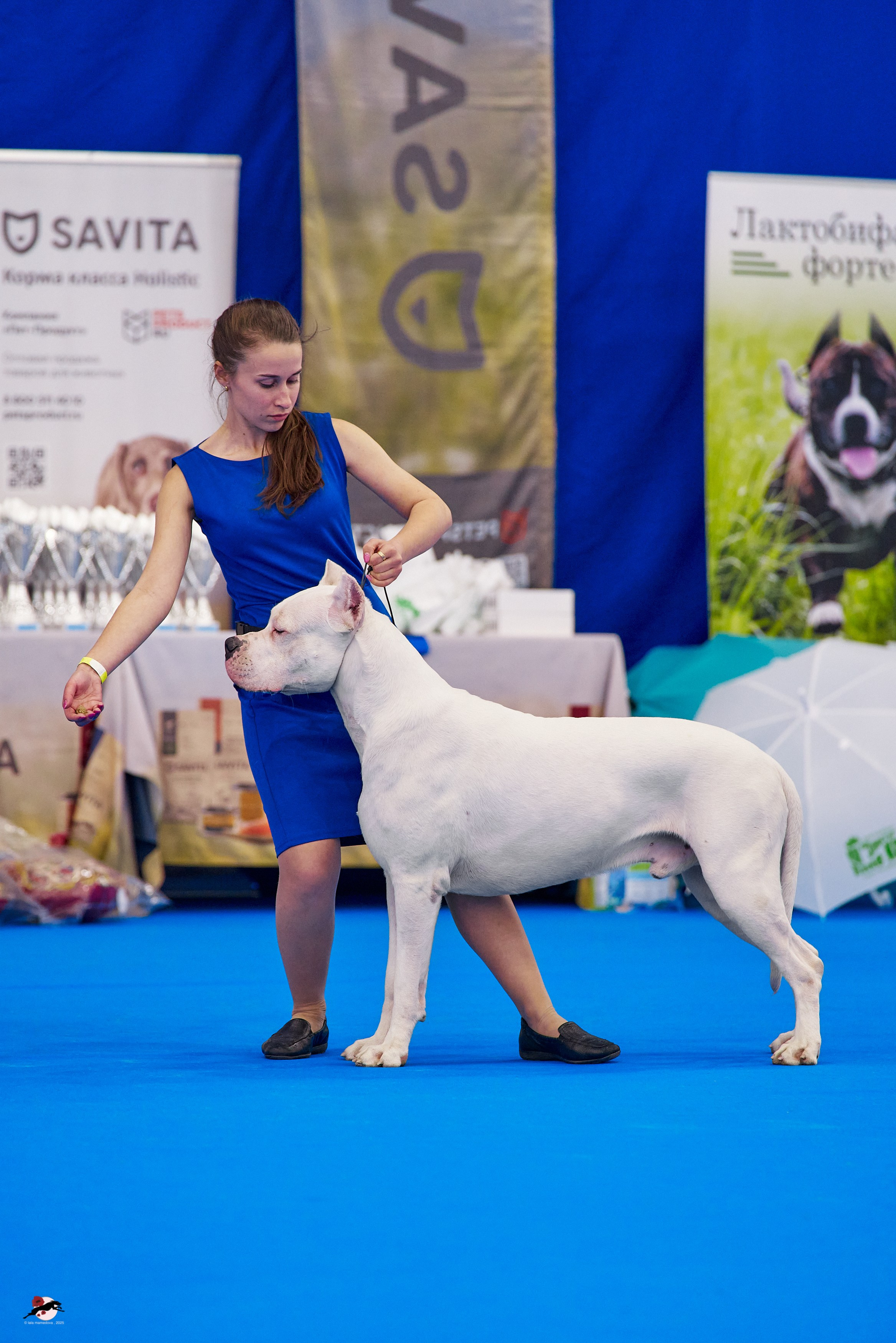 ГРАН ПРИ «ВЕСЕННИЙ ПЕТЕРБУРГ» & «СУПЕР КУБОК «ЭЛИТЫ»-2025»