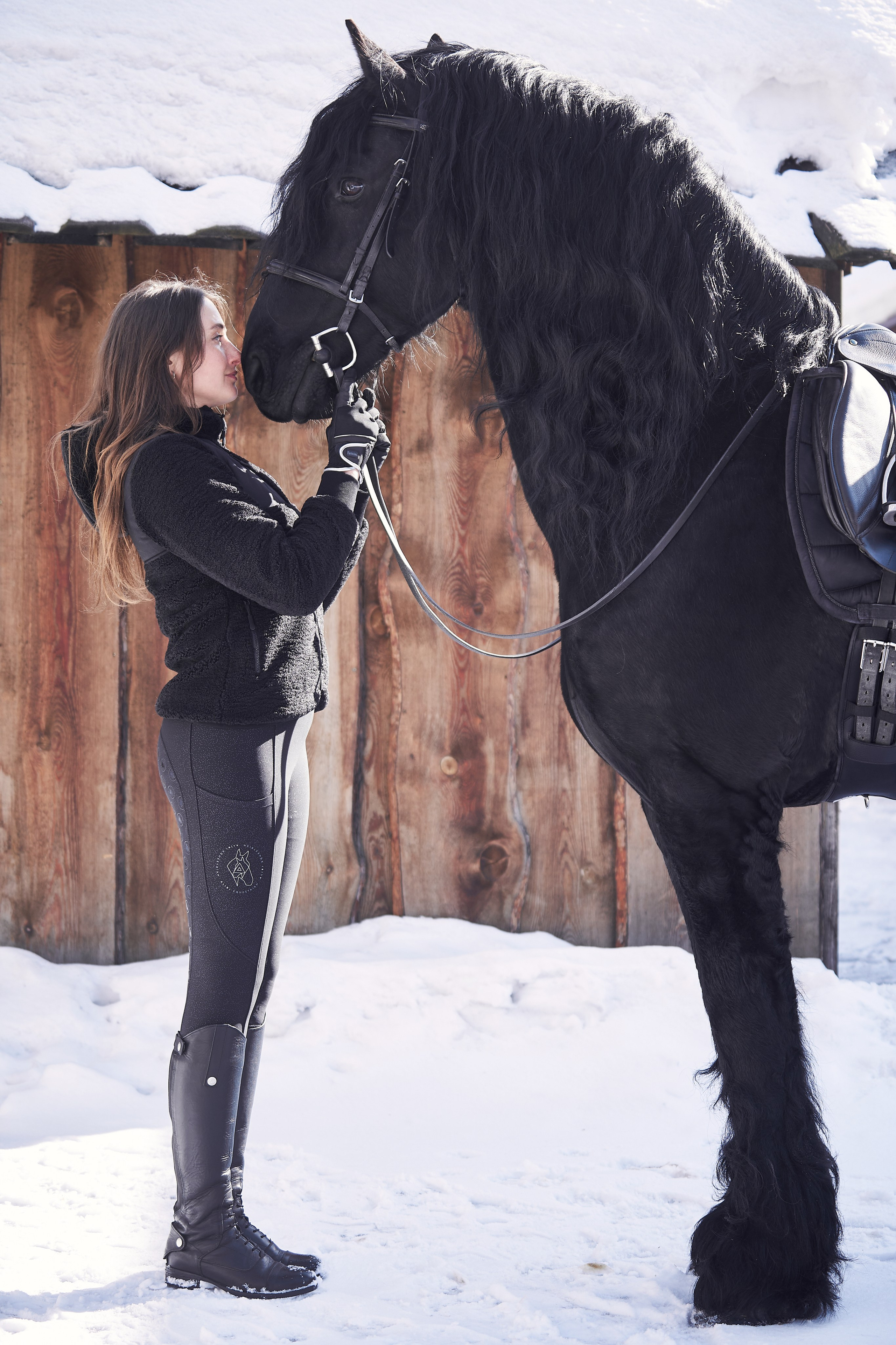 Фотосессии с лошадьми в Москве, Новосибирске