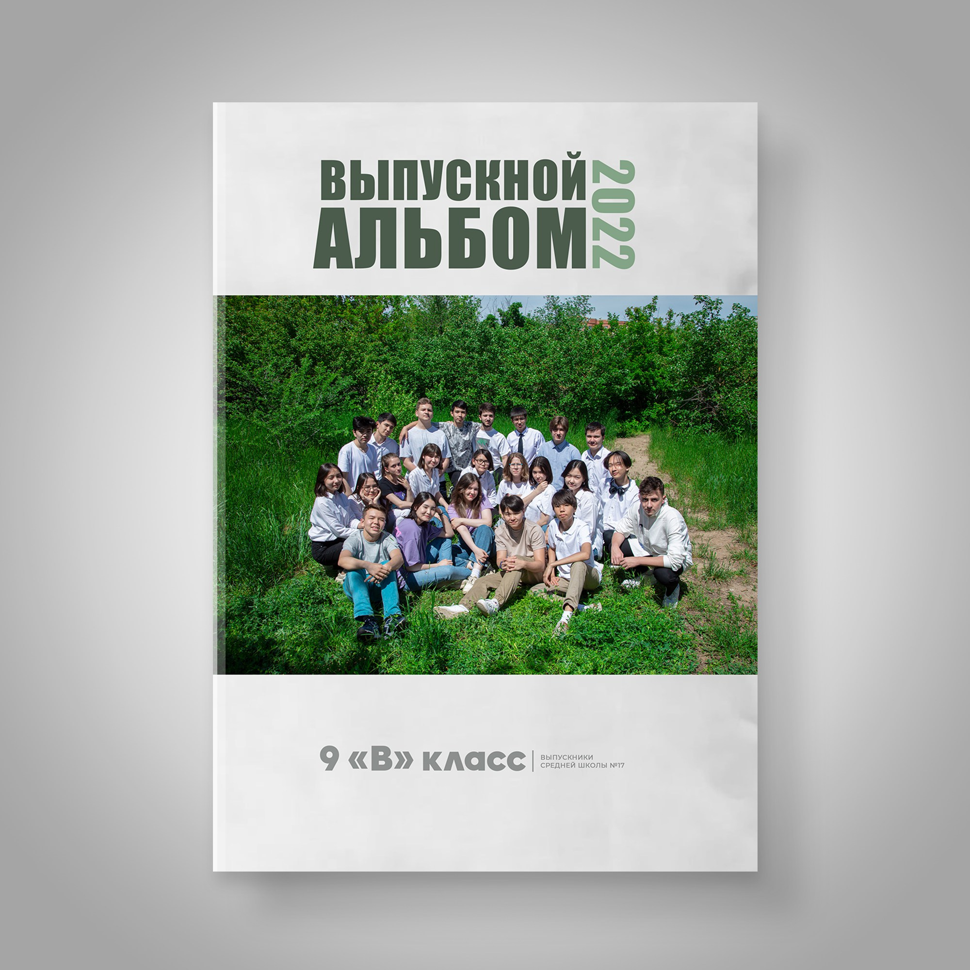 Виньетки, Выпускные альбомы