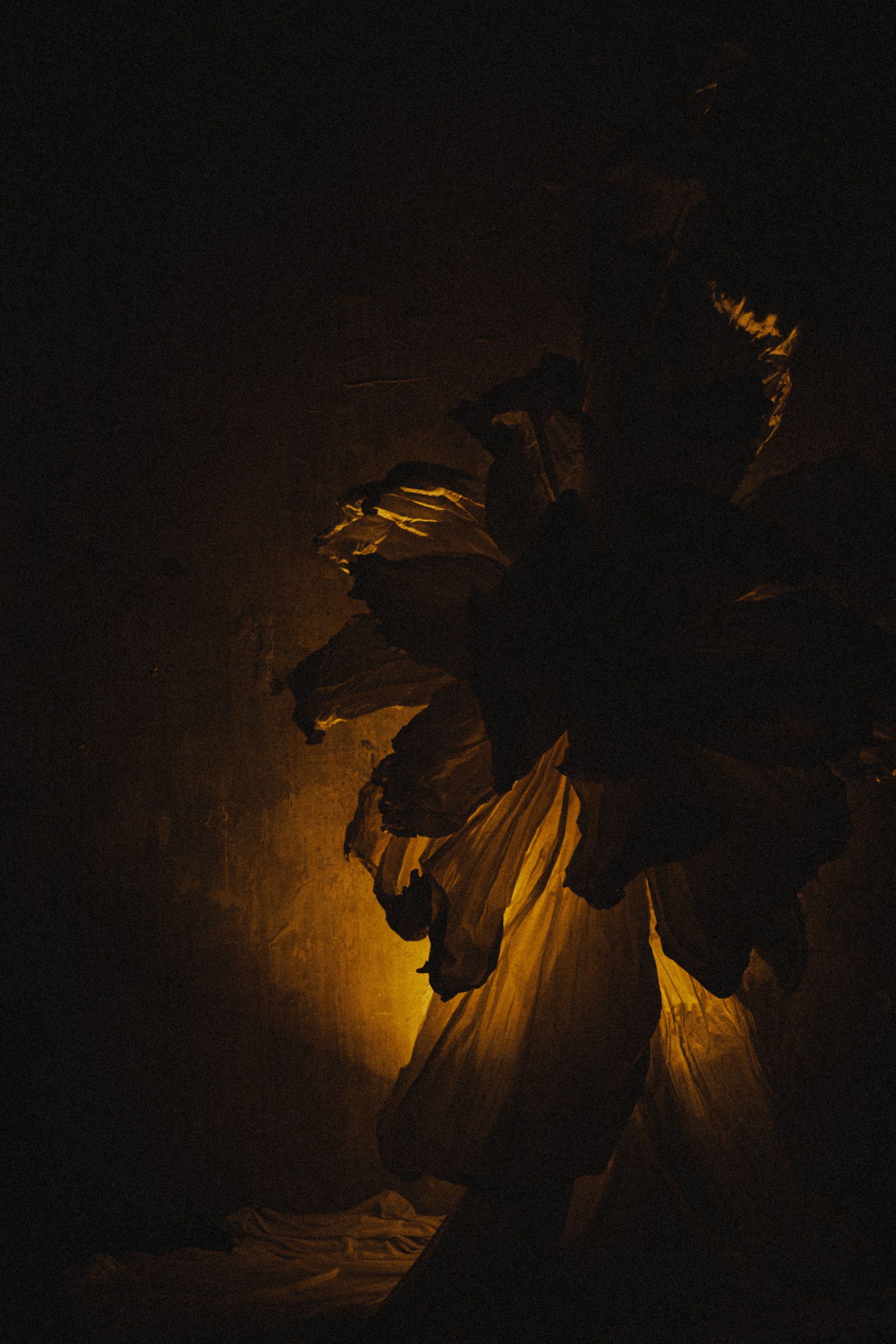 Свадебный фотограф в Санкт-Петербурге Баженова Алина