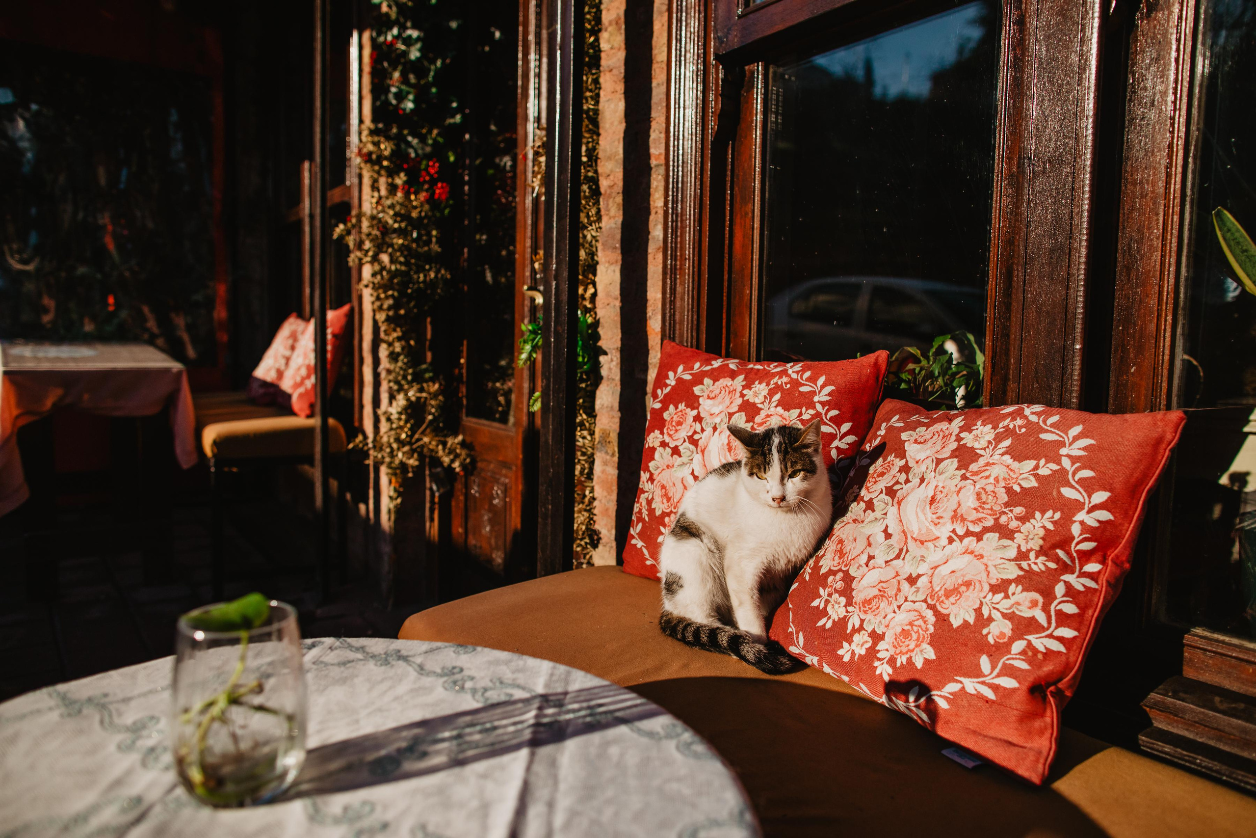 Фотопрогулка по улицам Стамбула. Свадебный и семейный фотограф Тюмень Ева Рейман