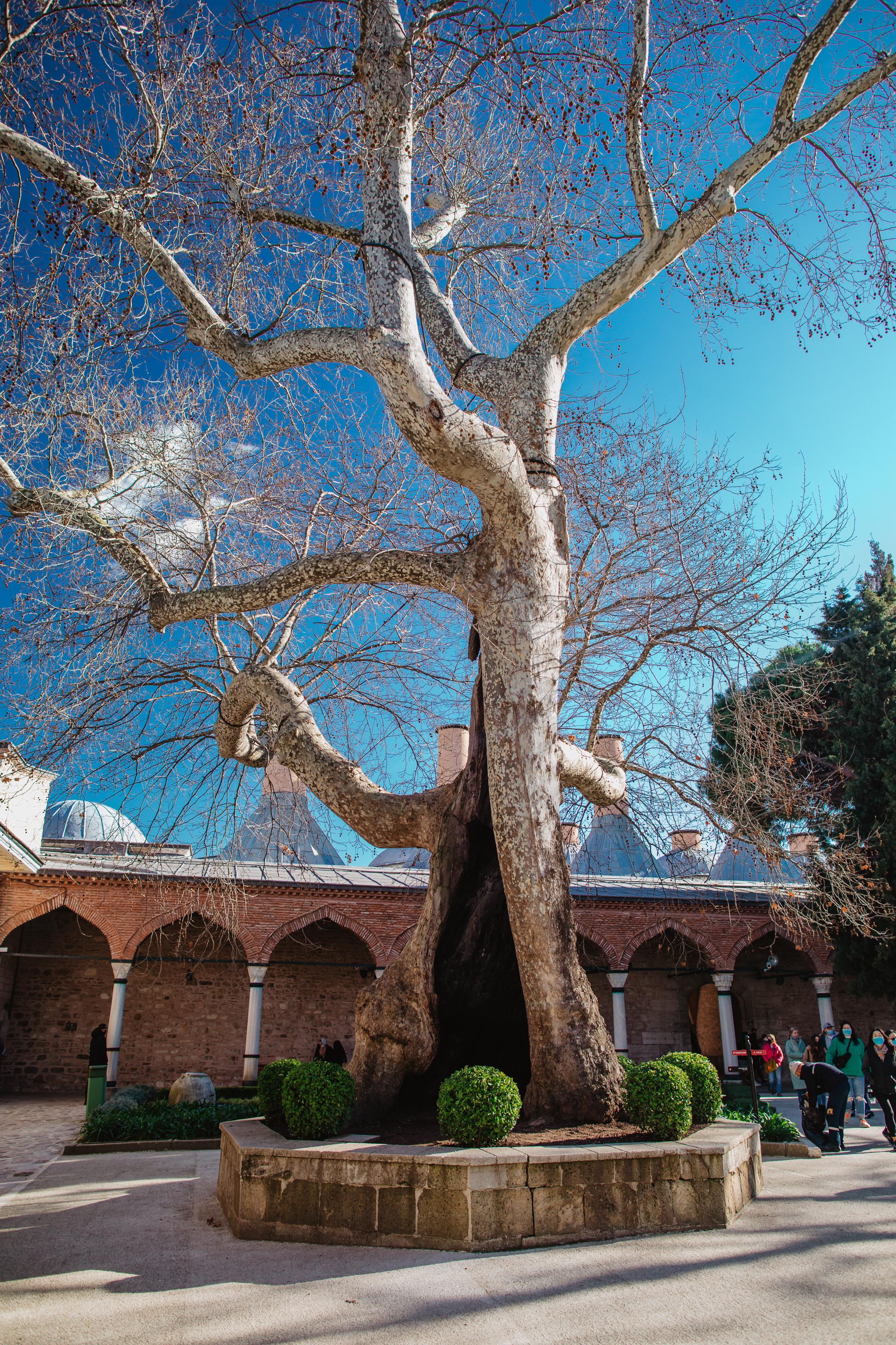 Фотопрогулка по улицам Стамбула. Свадебный и семейный фотограф Тюмень Ева Рейман