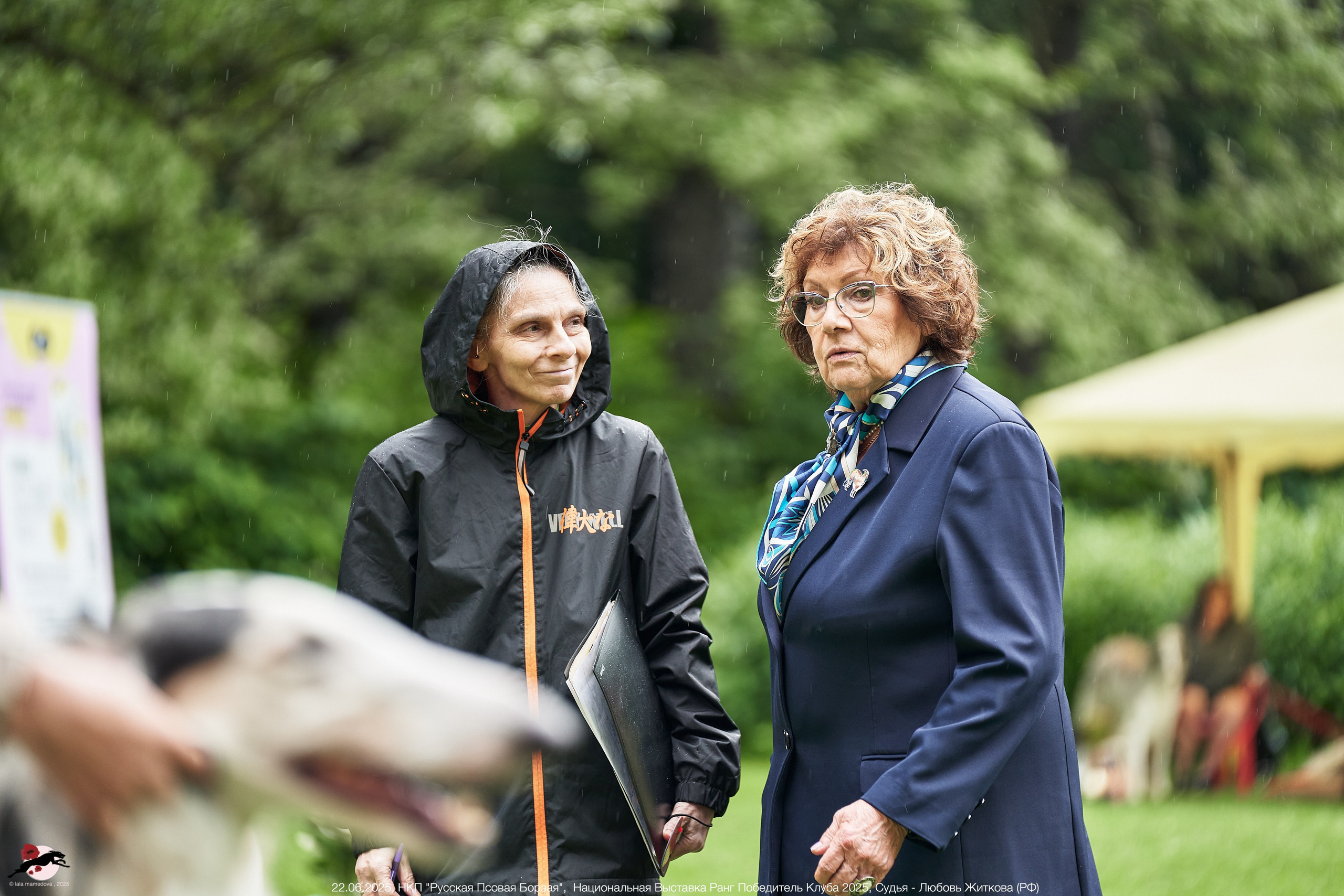 22.06.2025 | Национальная Выставка НКП "Русская Псовая Борзая"