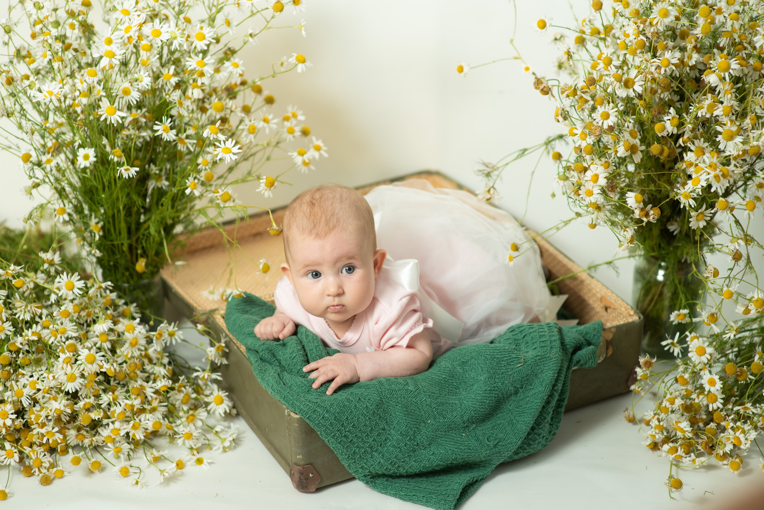 ФОТОПРЕКТ СЕМЕЙНАЯ ФОТОКНИГА. Семейный фотограф в Ярославле Екатерина Затеева