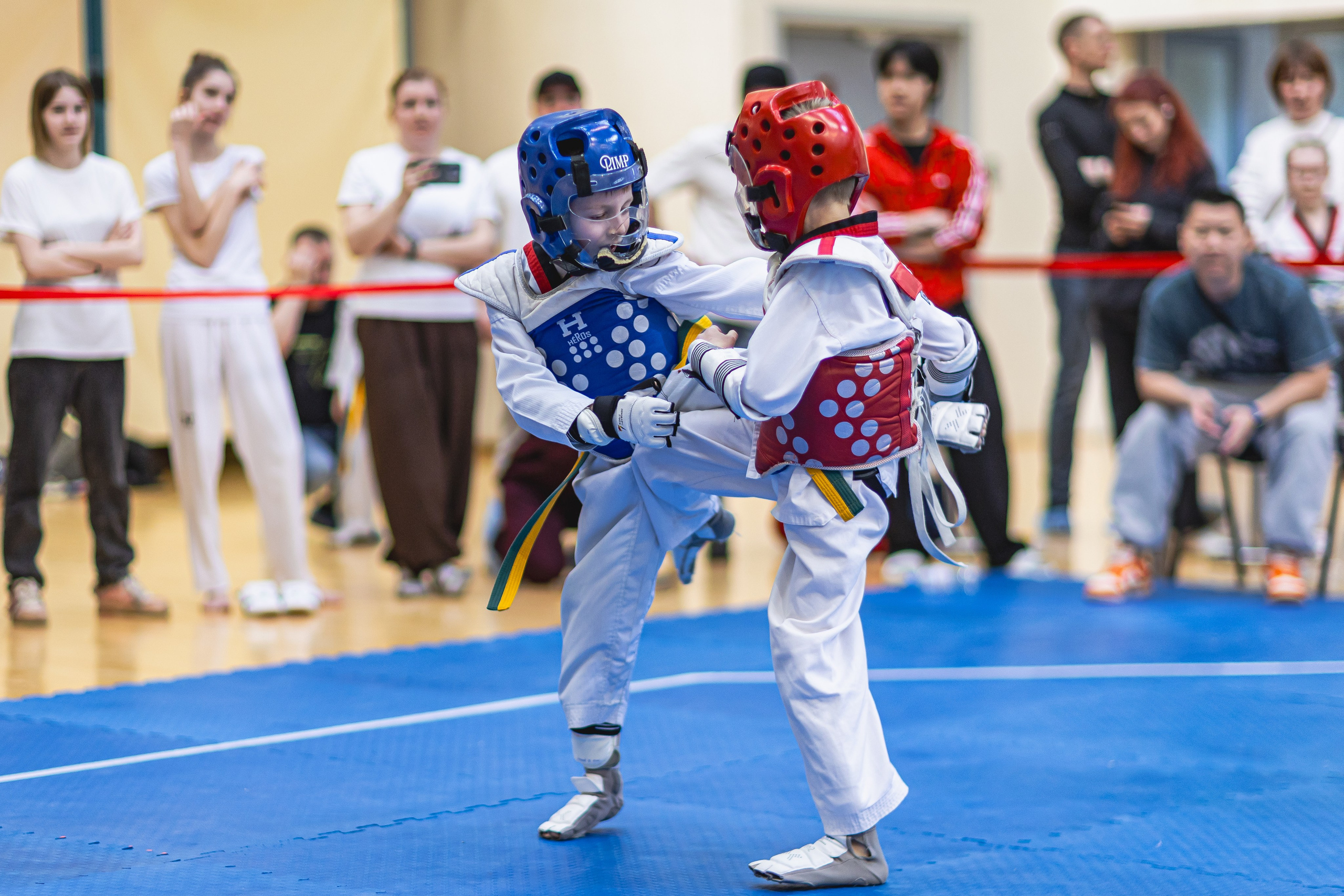 Турнир ВДЮФСОО «ФЕДЕРАЦИЯ ДЕТСКОГО ТХЭКВОНДО РОССИИ» и МОО СПКЕ «ЭРИДАН» по «СПОРТИВНОМУ БОЮ КЕРУГИ». Спортивный фотограф Максим Серегин