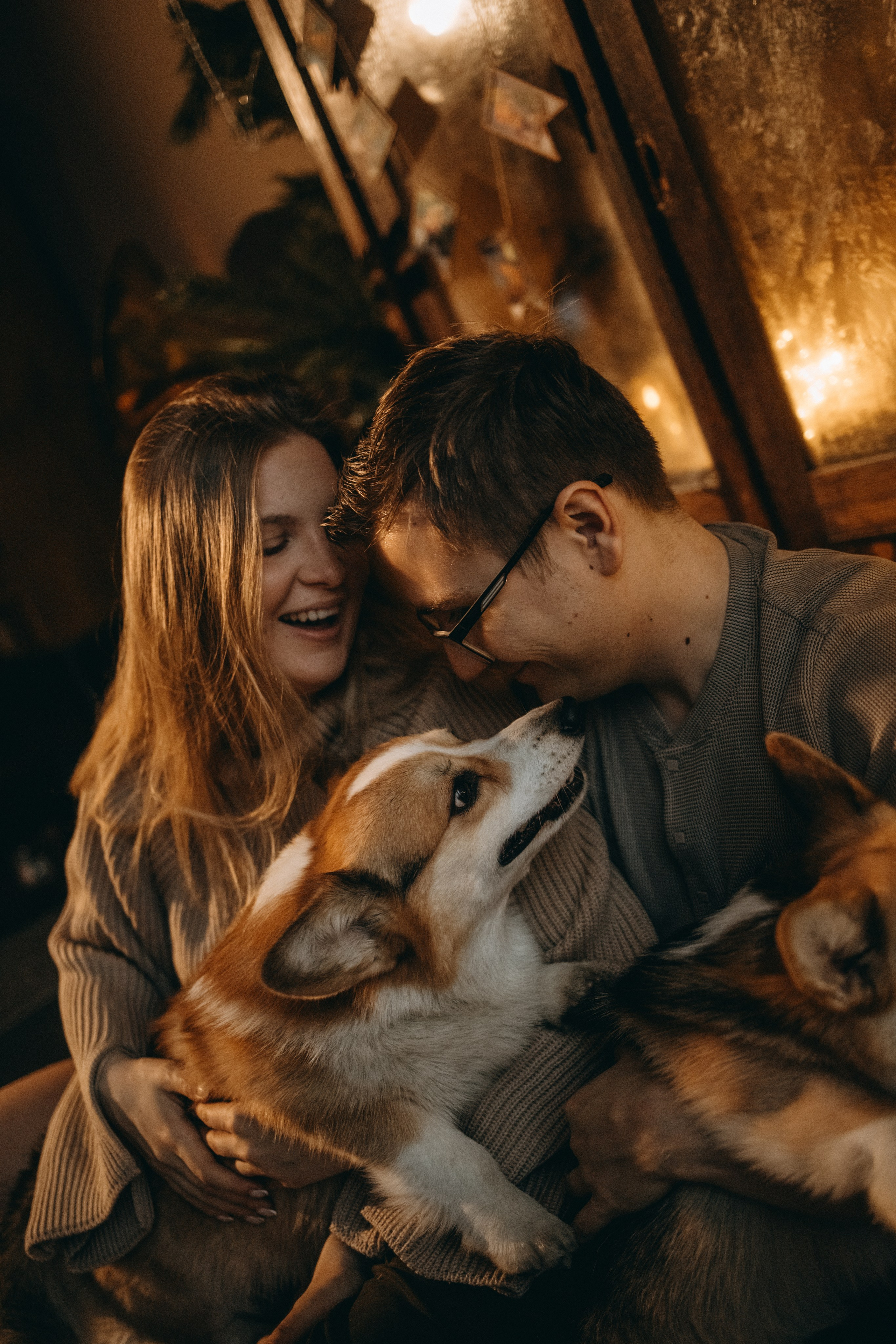 Новогодние фотостудии. Фотограф — Анималист | Санкт-Петербург