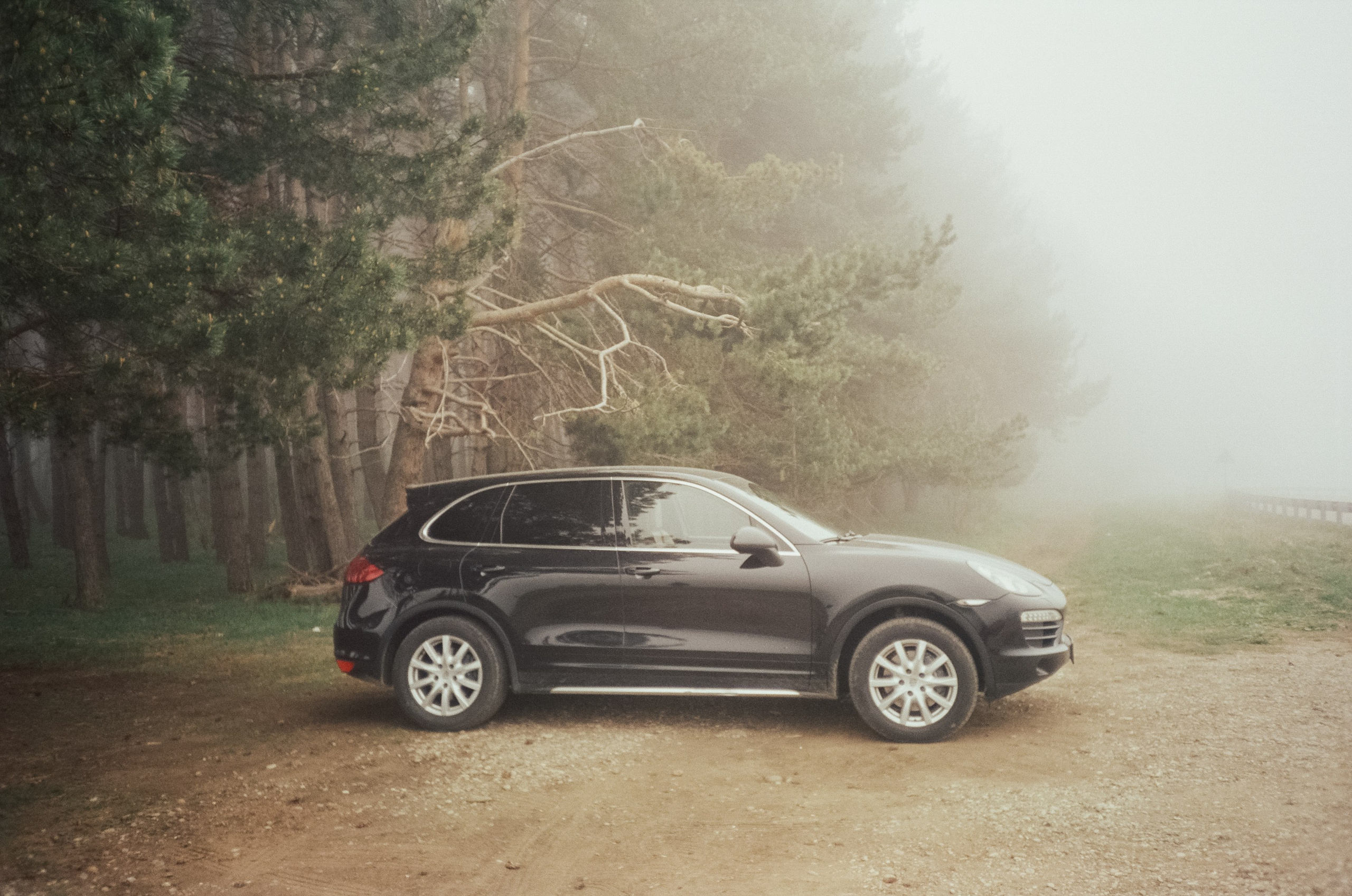 Дорога к Джилы-Су и лошадки в тумане. Фотограф-документалист Мария Осокина