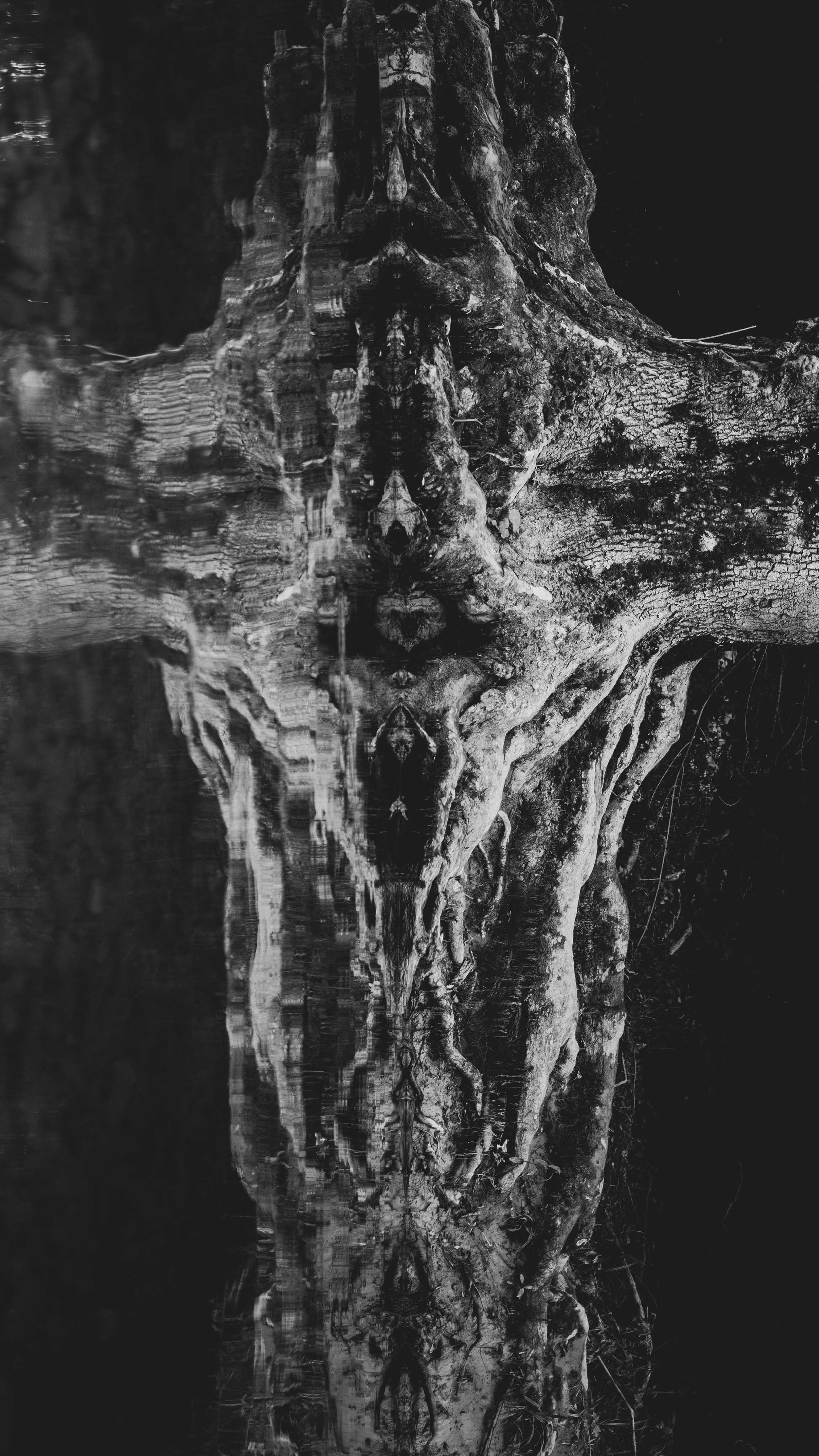 Улицы Люди на улицах Природа Животные — фотограф Оля Волчкова