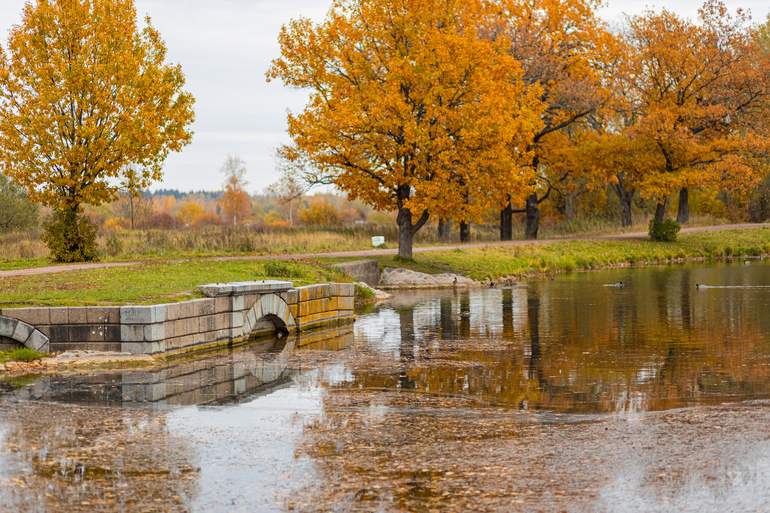 Осеняя фотосессия в Петергофе