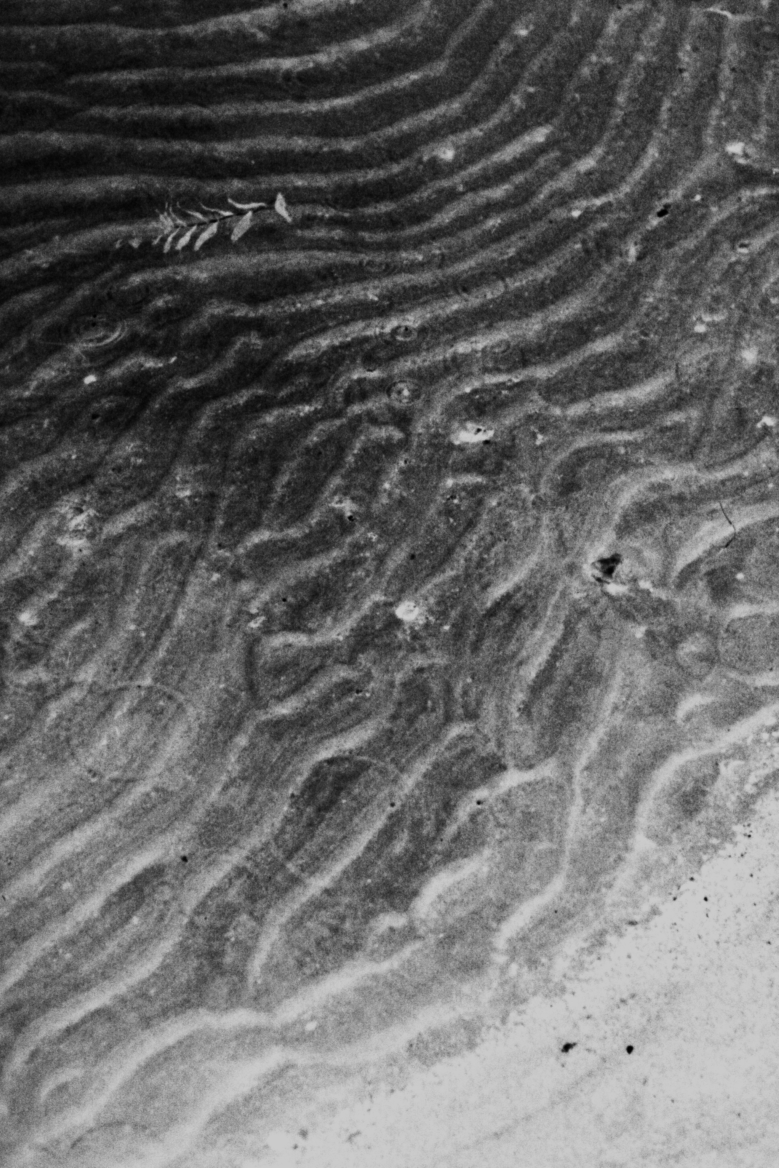 Waves. Vika Bykovskaya photography