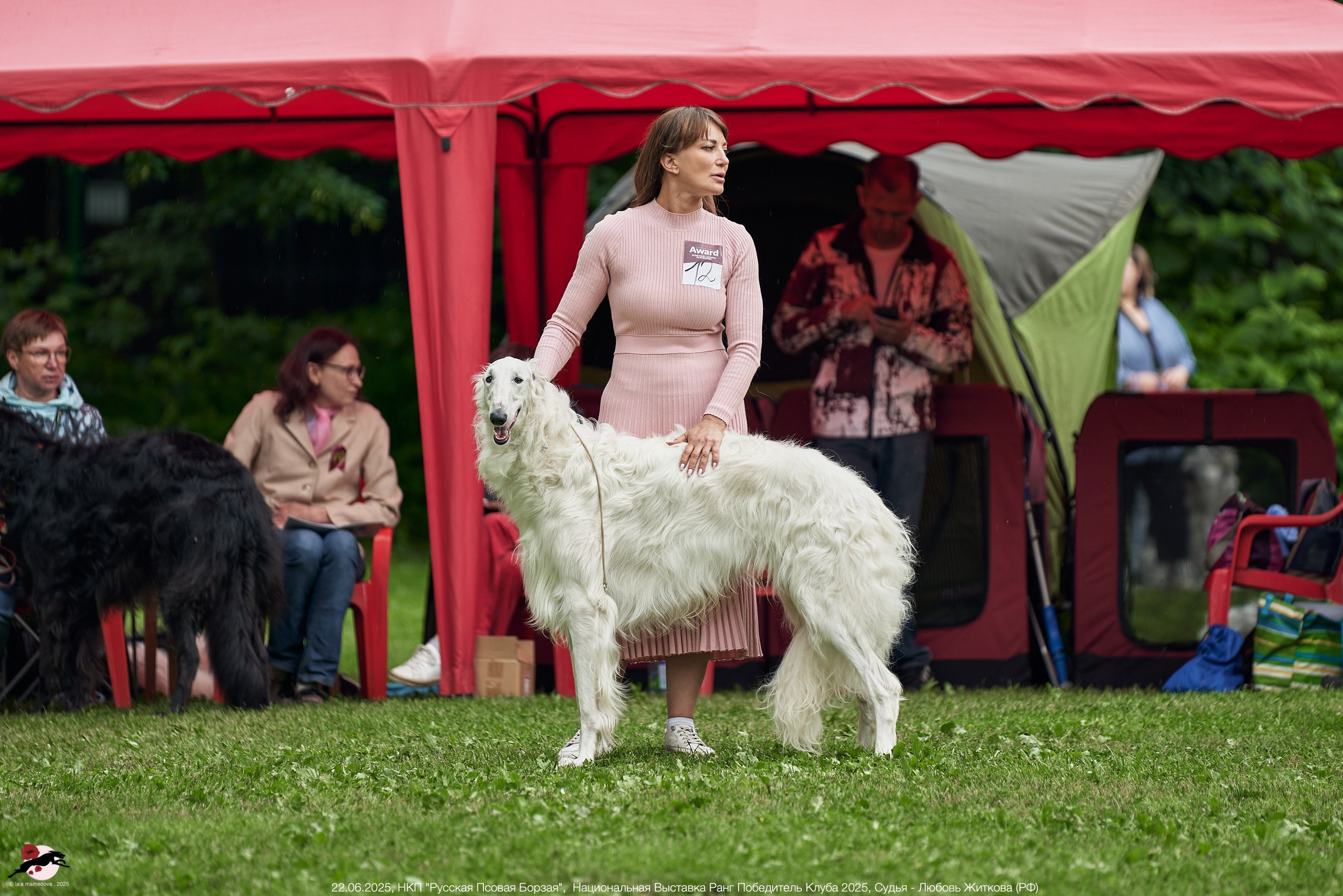 22.06.2025 | Национальная Выставка НКП "Русская Псовая Борзая"