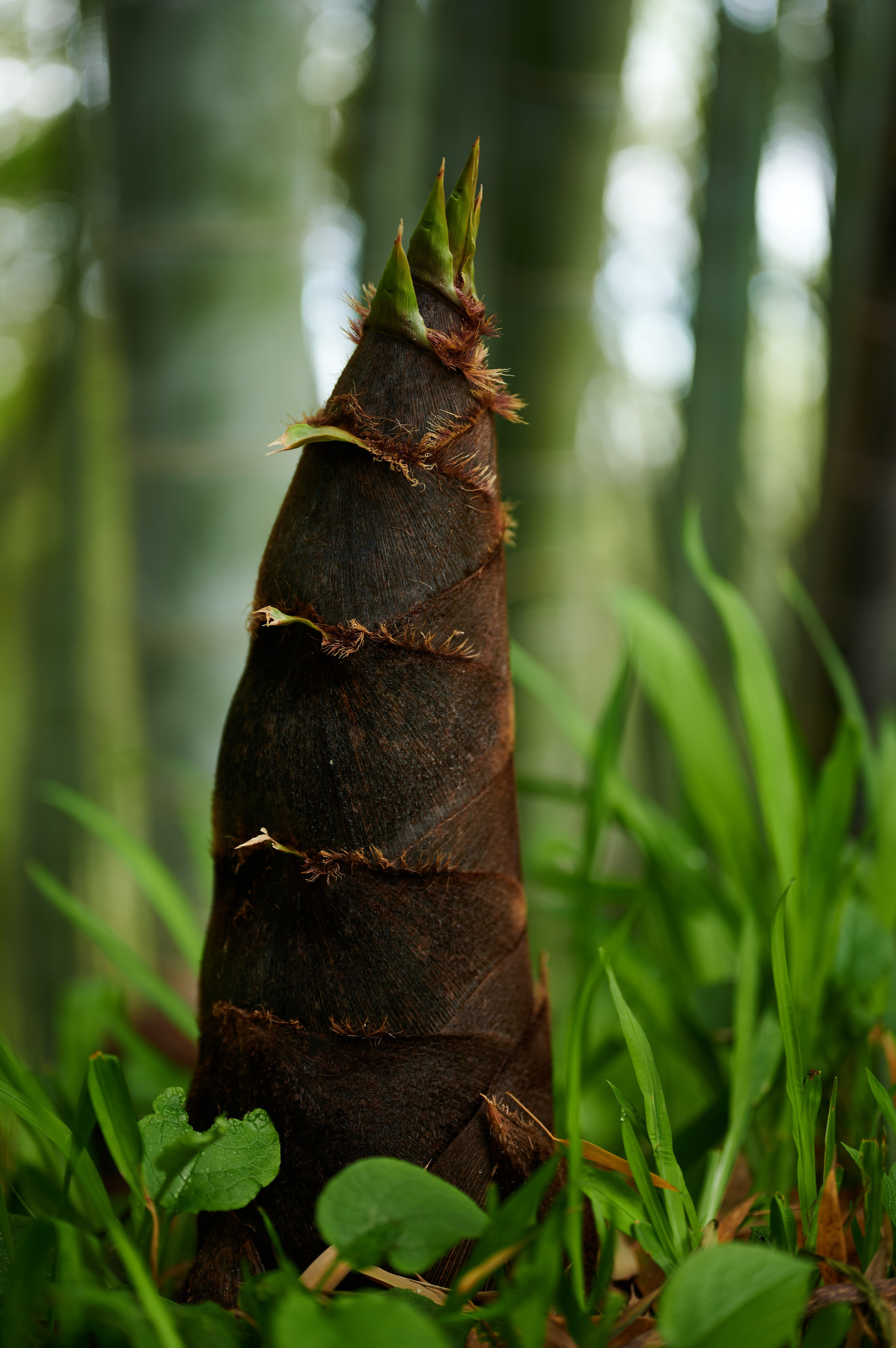 Photographer Yulia Lushnikova, Based in Valencia