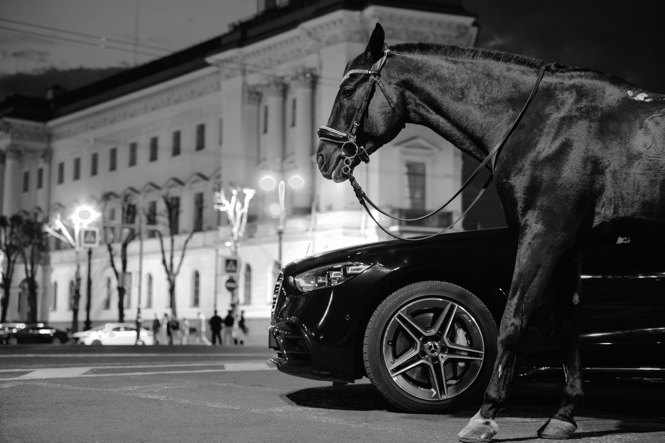 Портреты. Фотограф Элина Брусенцева