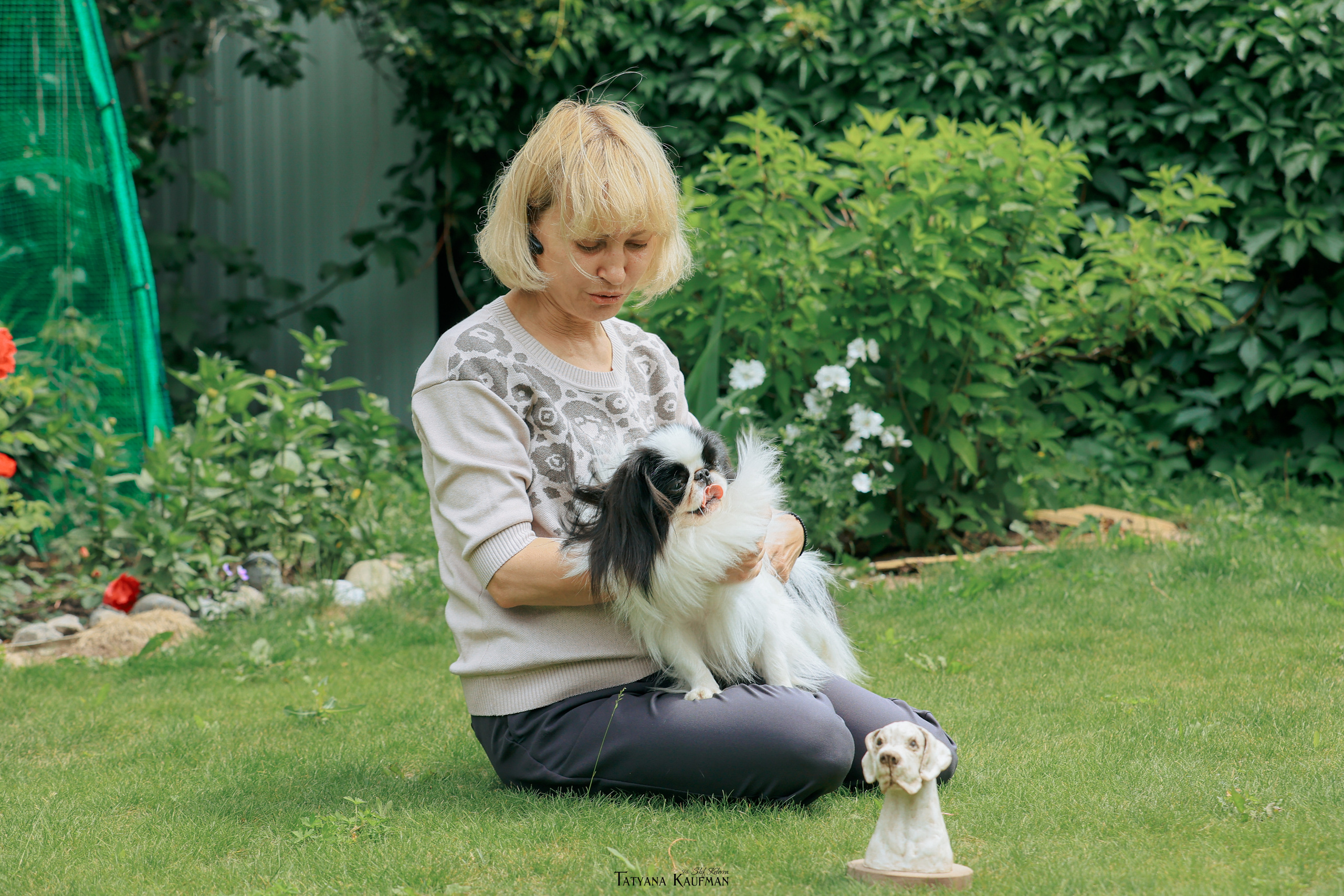 Фотосъемка японских хинов. Фотограф Анималист из Новосибирска Татьяна Кауфман