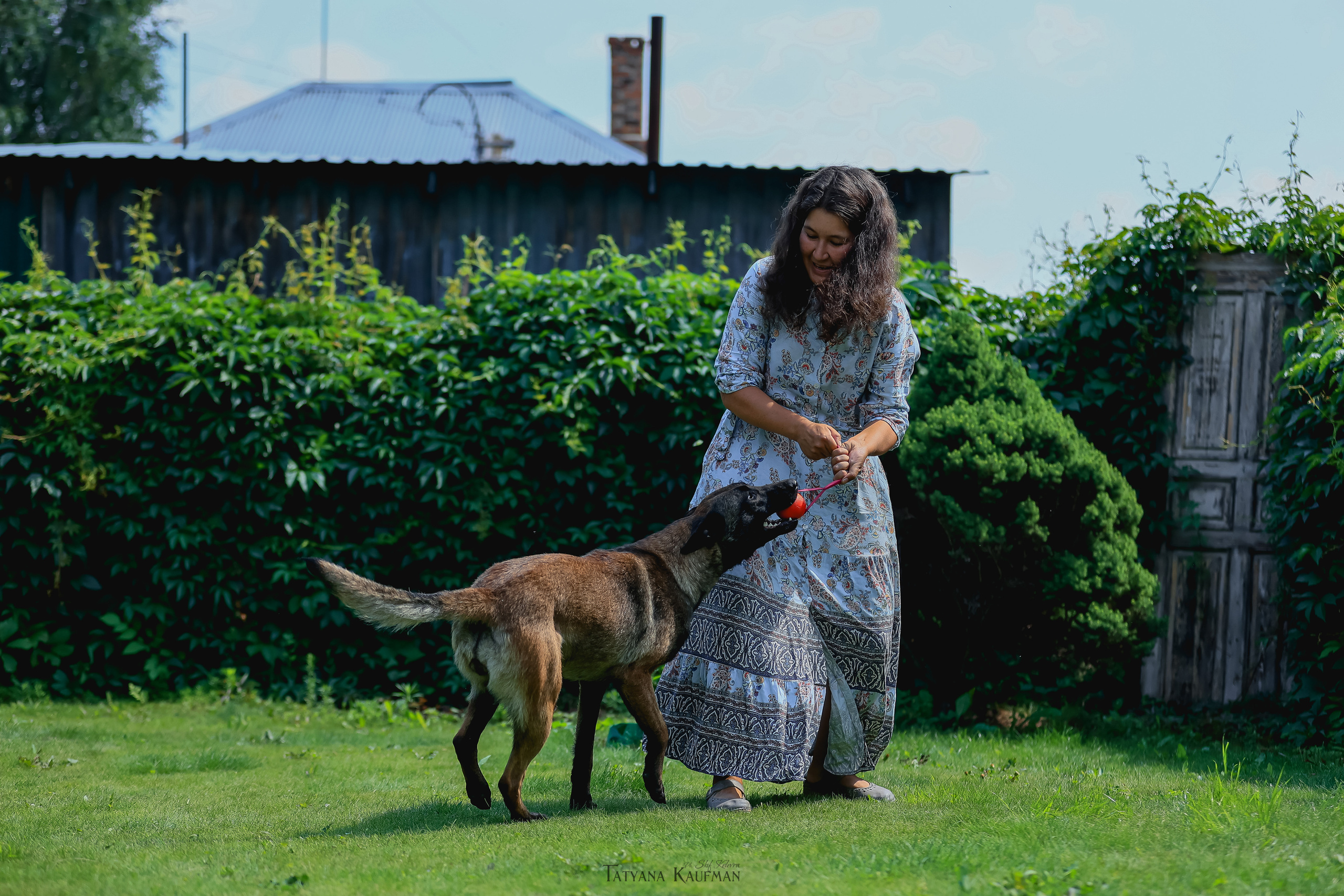 Фотосессия Малинуа. Фотограф Анималист из Новосибирска Татьяна Кауфман