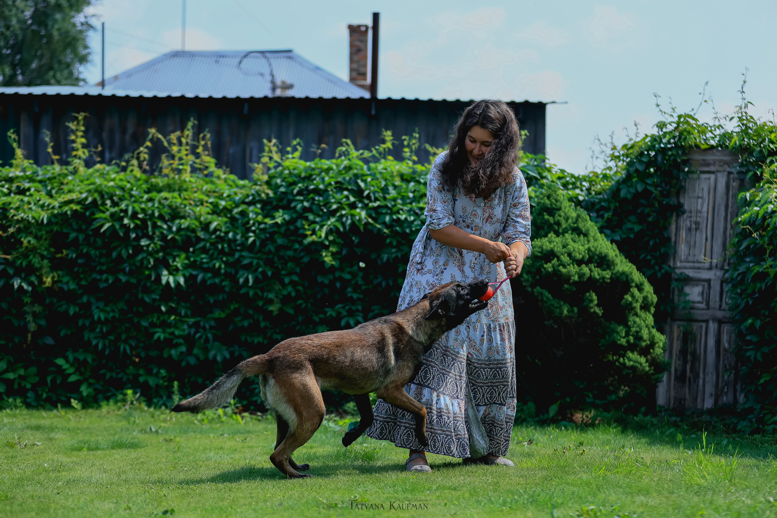 Фотосессия Малинуа. Фотограф Анималист из Новосибирска Татьяна Кауфман