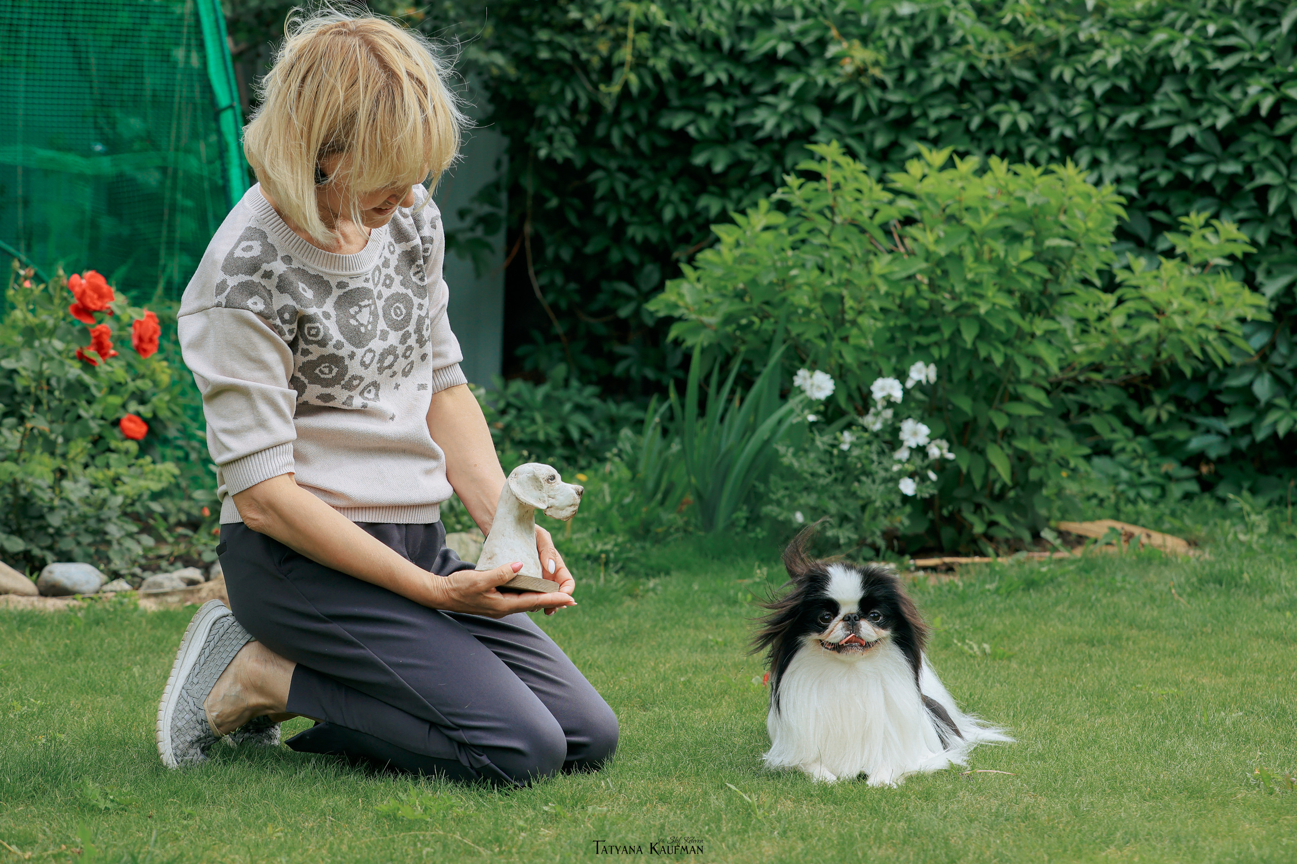 Фотосъемка японских хинов. Фотограф Анималист из Новосибирска Татьяна Кауфман