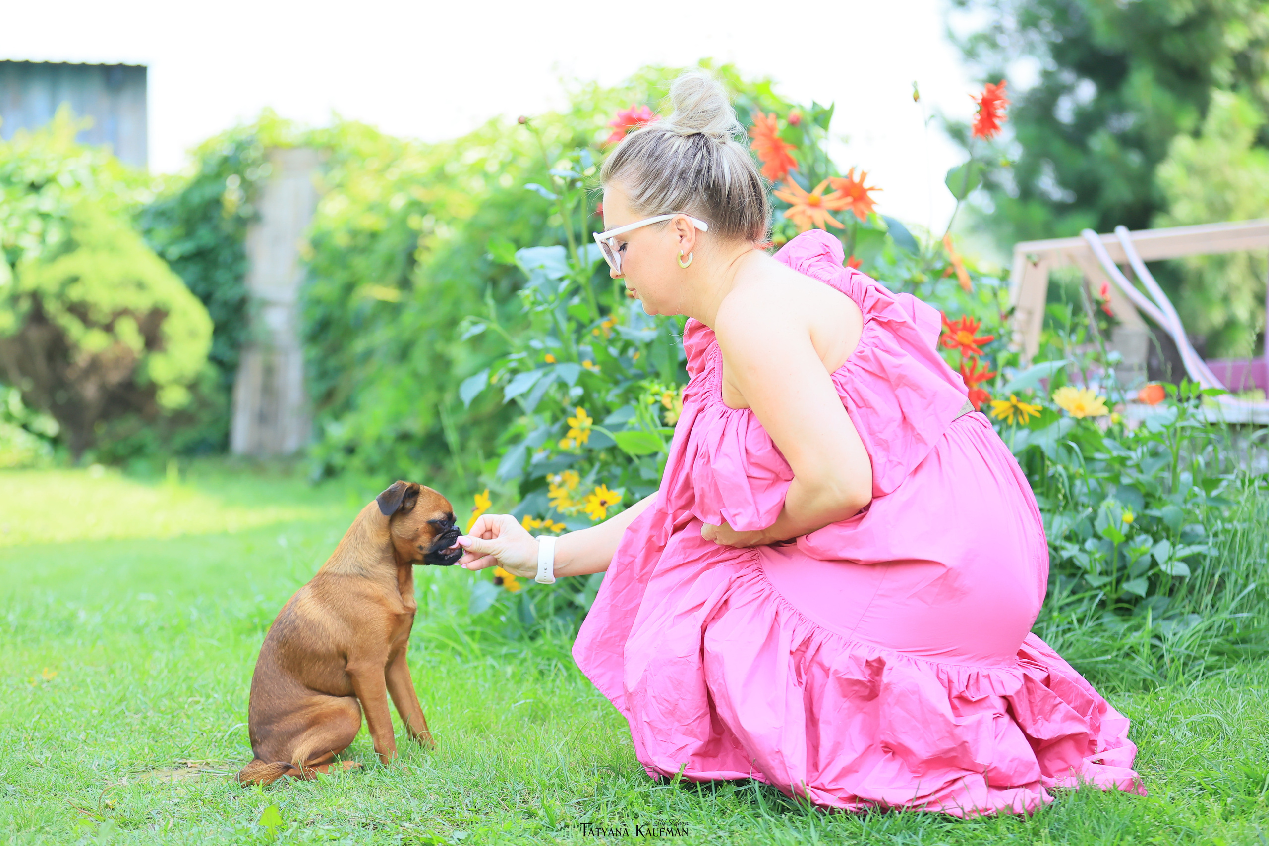 Малый брабансон, фотография брабансон, красивая собака, фотограф анималист, фотокурс Анималистика, научиться фотографировать собак, фотограф Новосибирск