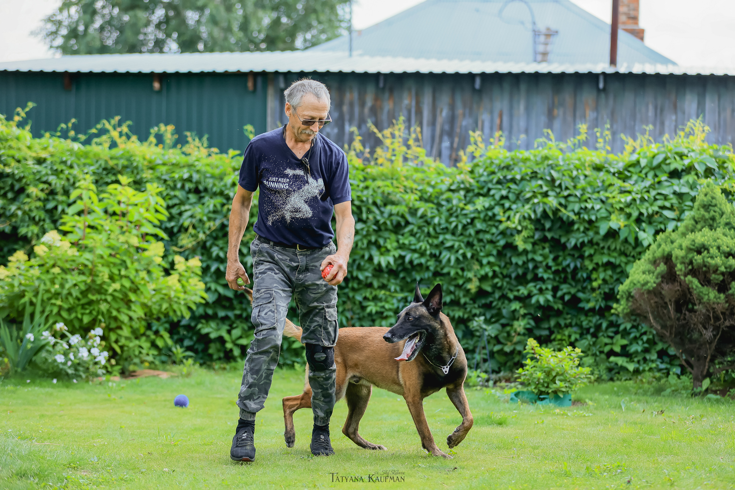Фотосессия Малинуа. Фотограф Анималист из Новосибирска Татьяна Кауфман