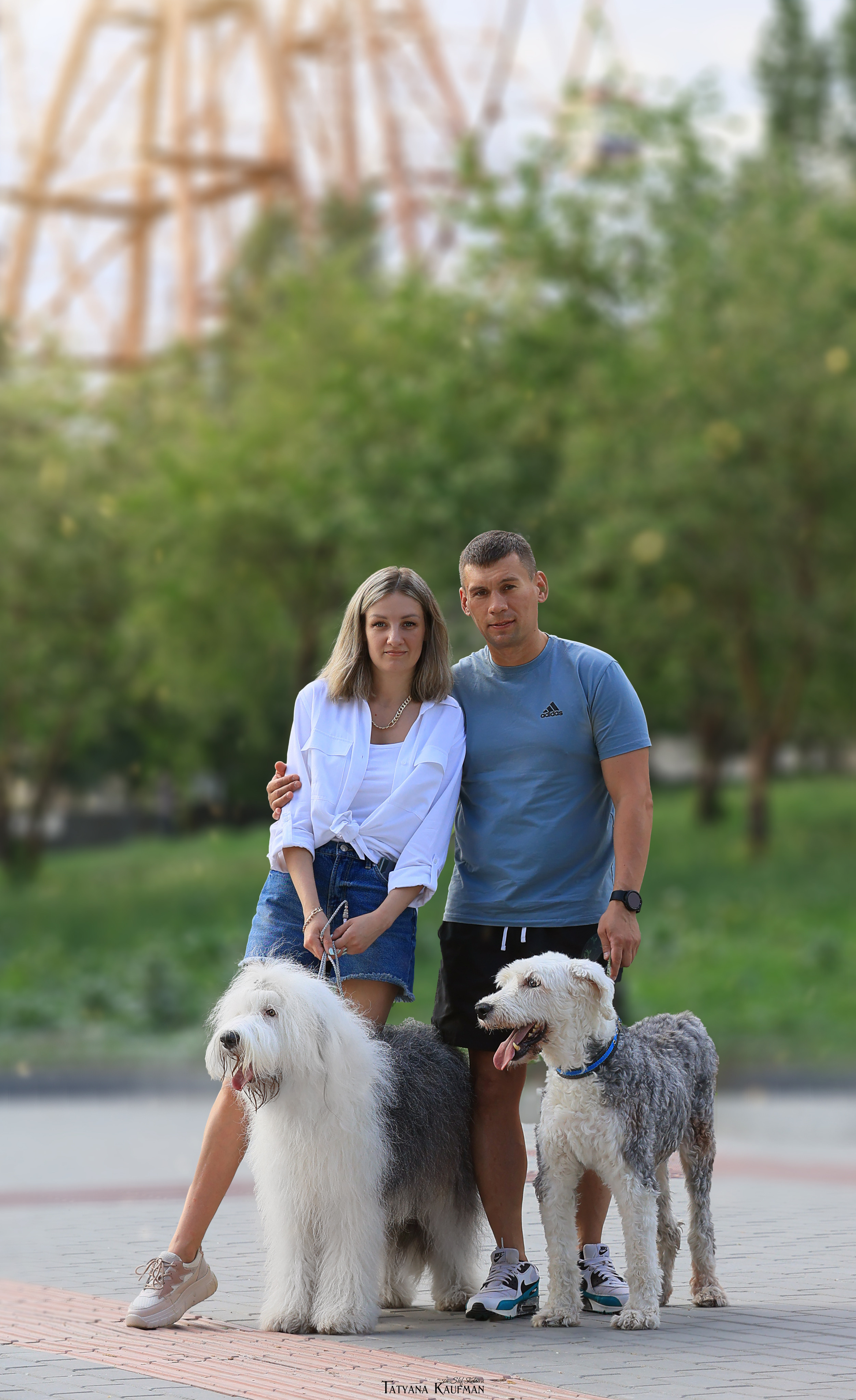 Фотосъемка бобтейлов. Фотограф Анималист из Новосибирска Татьяна Кауфман