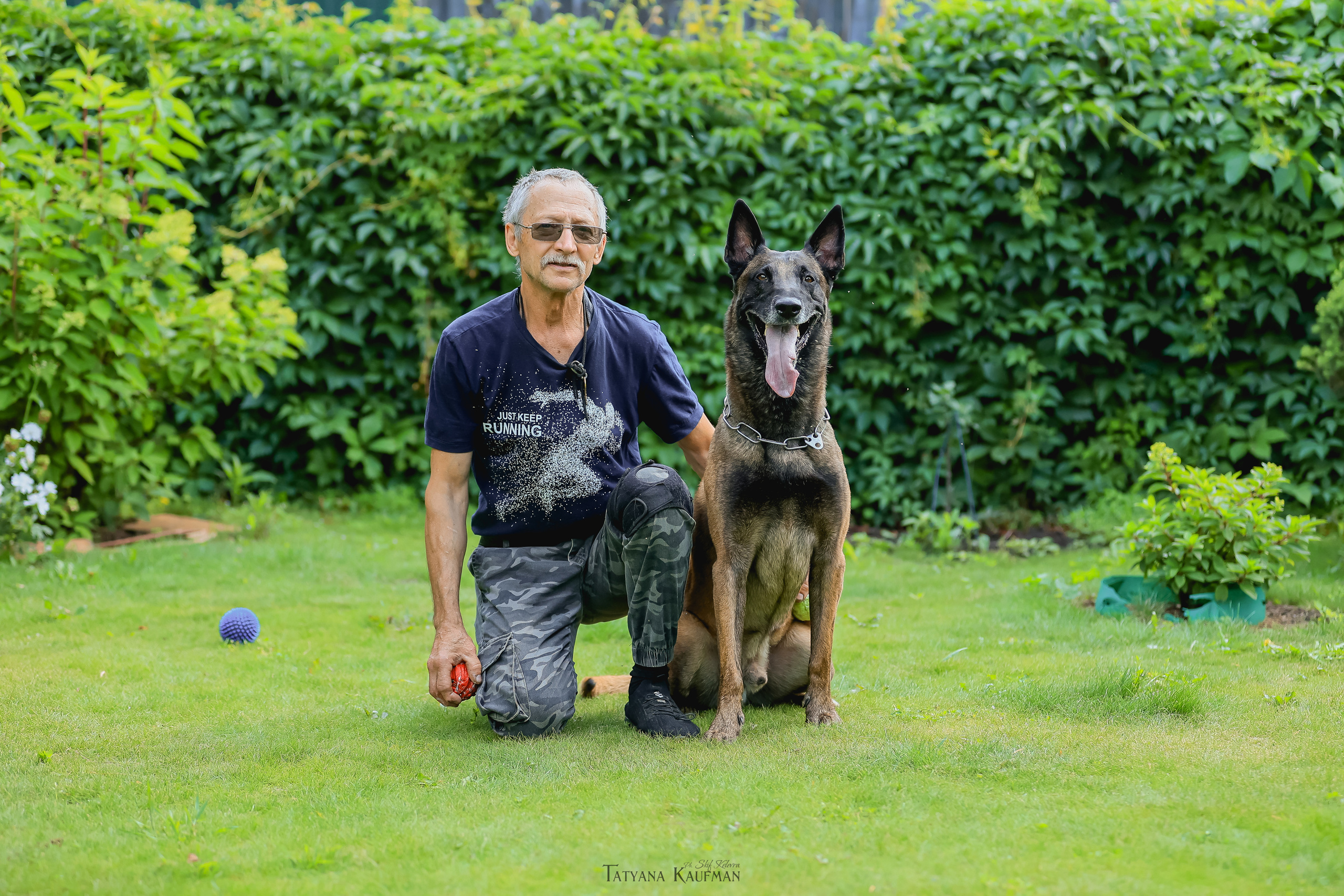 Фотосессия Малинуа. Фотограф Анималист из Новосибирска Татьяна Кауфман