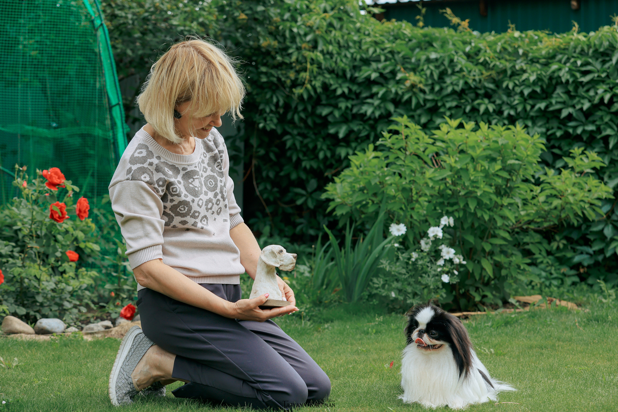 Фотосъемка японских хинов. Фотограф Анималист из Новосибирска Татьяна Кауфман