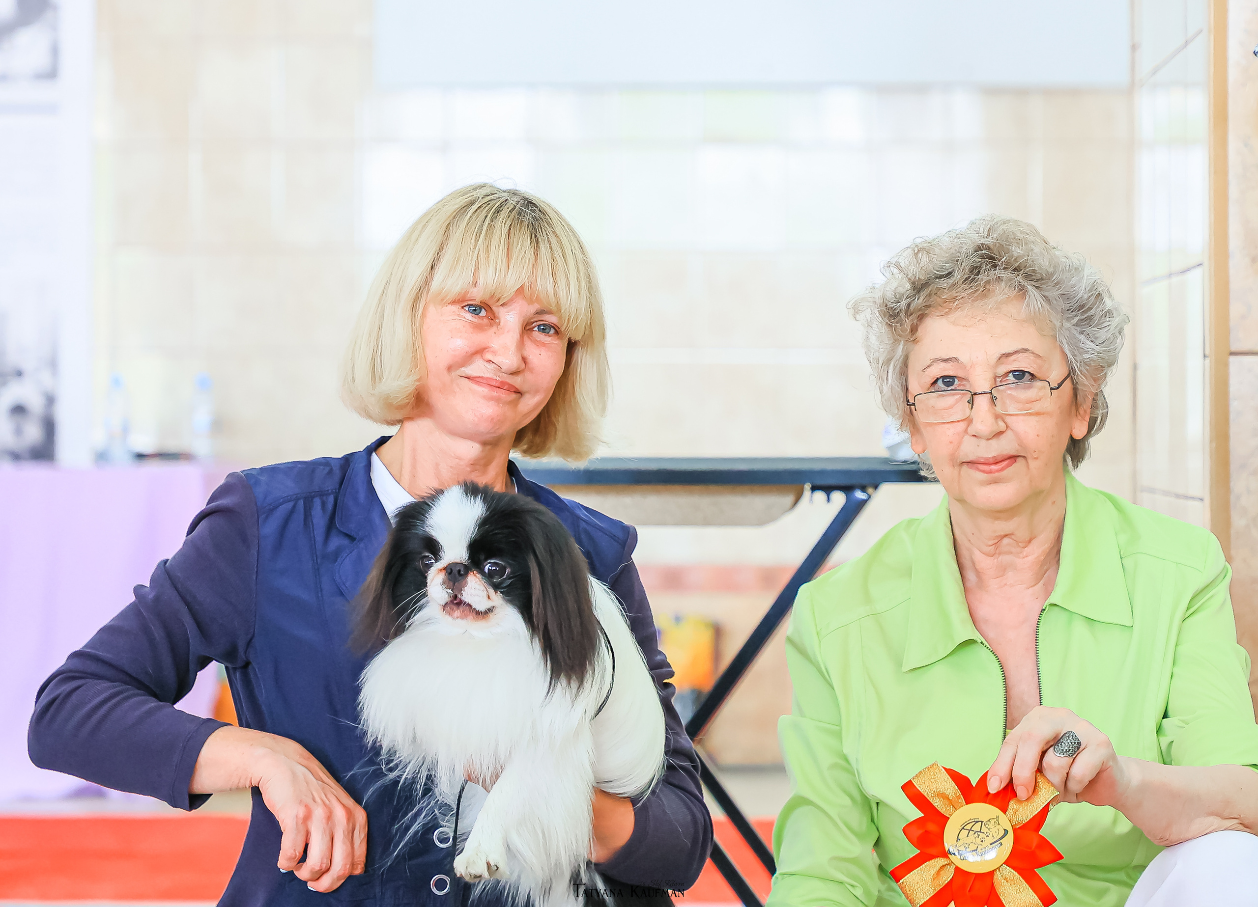 Японский хин, фотография японский хин, красивая собака, фотограф анималист, фотокурс Анималистика, научиться фотографировать собак, фотограф Новосибирск, фотосъемка на выставке, экстерьерная фотосессия, выставка собак Новосибирск