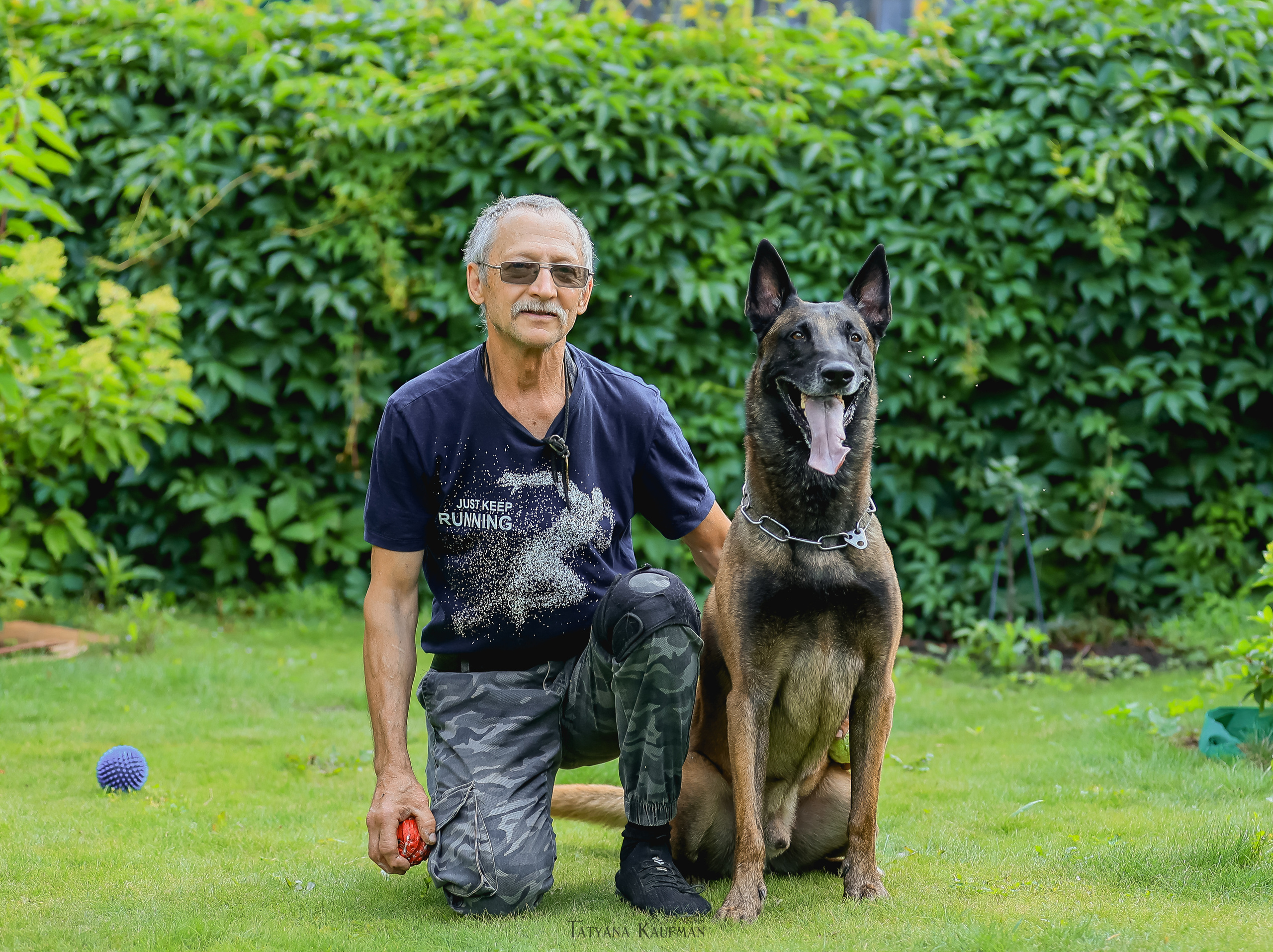 Фотосессия Малинуа. Фотограф Анималист из Новосибирска Татьяна Кауфман