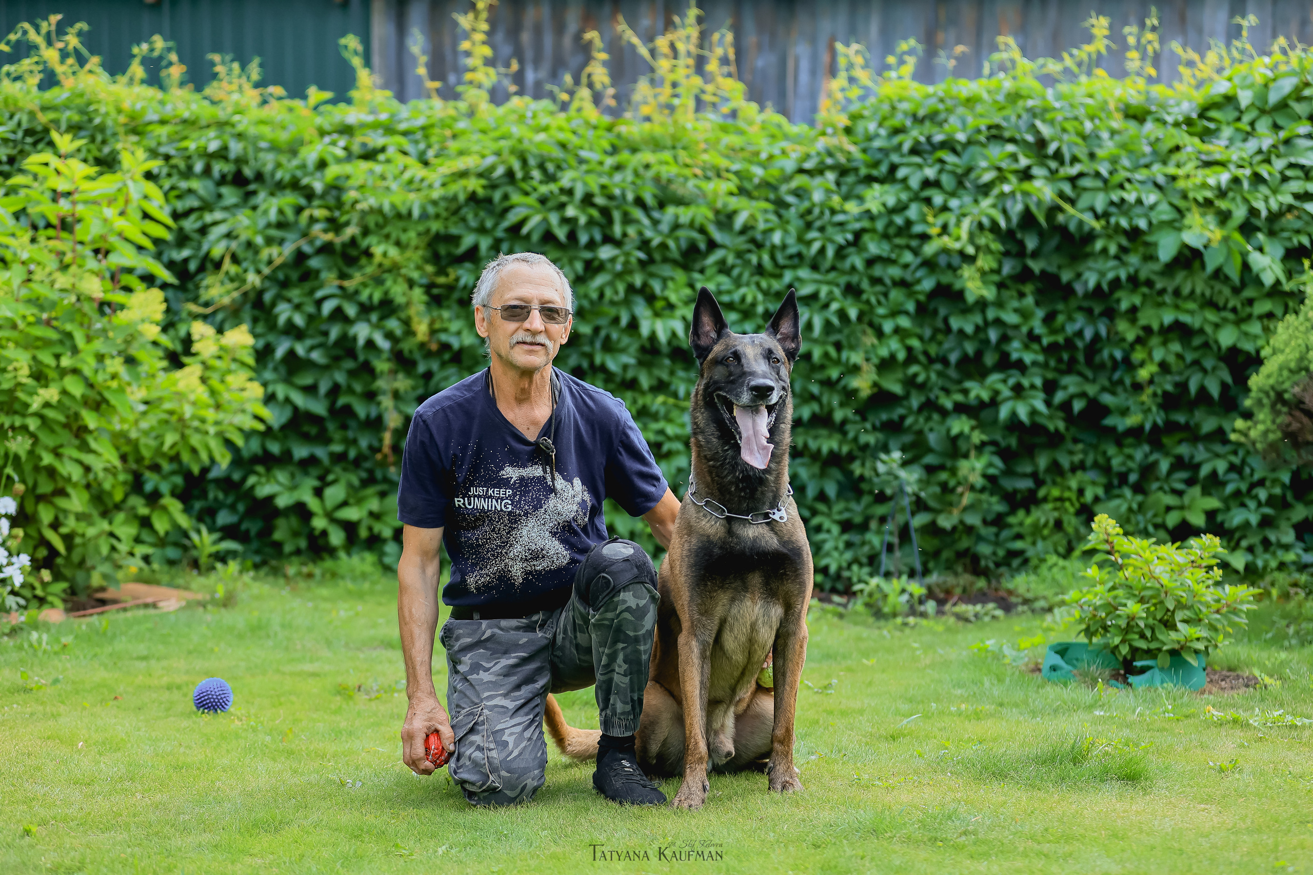 Фотосессия Малинуа. Фотограф Анималист из Новосибирска Татьяна Кауфман
