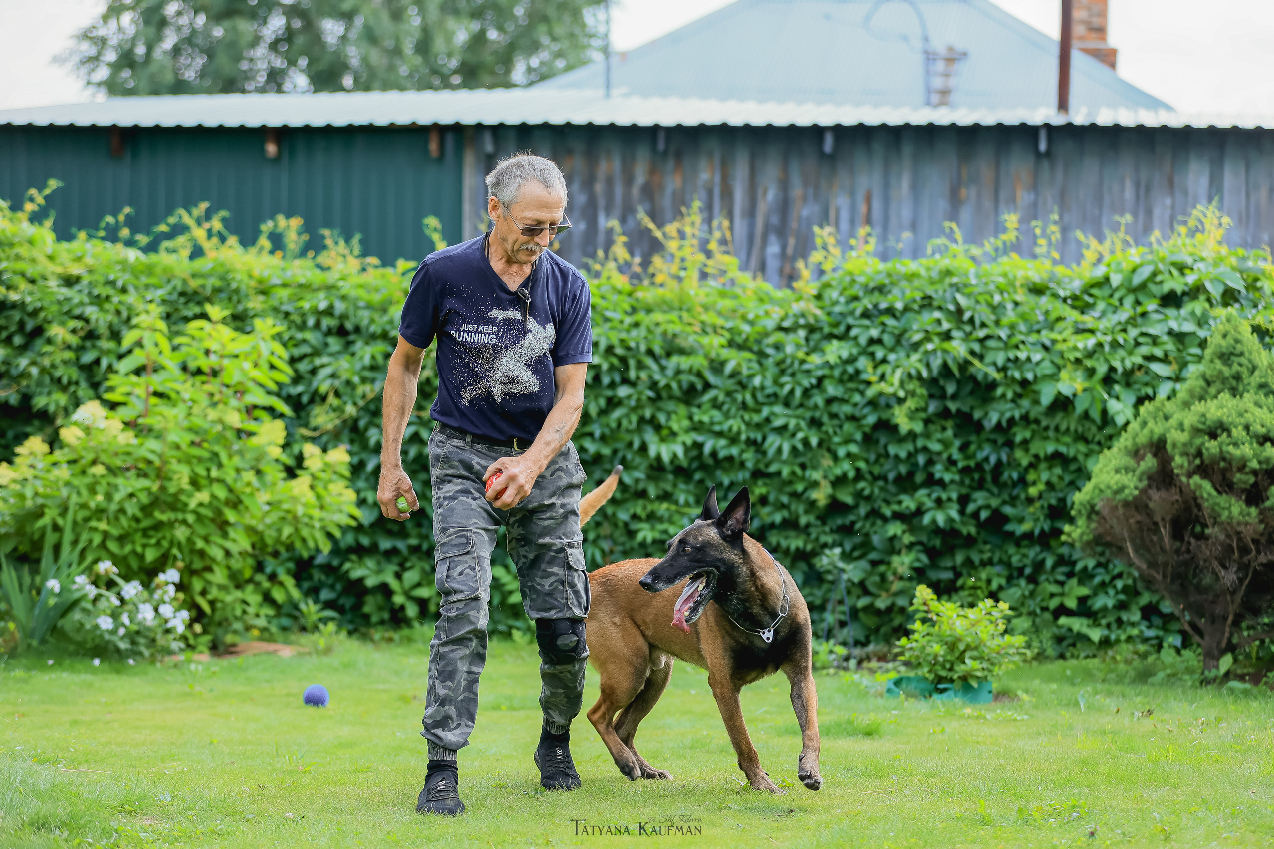 Фотосессия Малинуа. Фотограф Анималист из Новосибирска Татьяна Кауфман