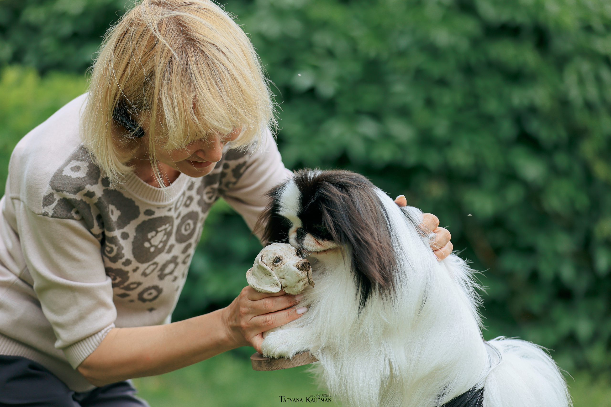 Фотосъемка японских хинов. Фотограф Анималист из Новосибирска Татьяна Кауфман