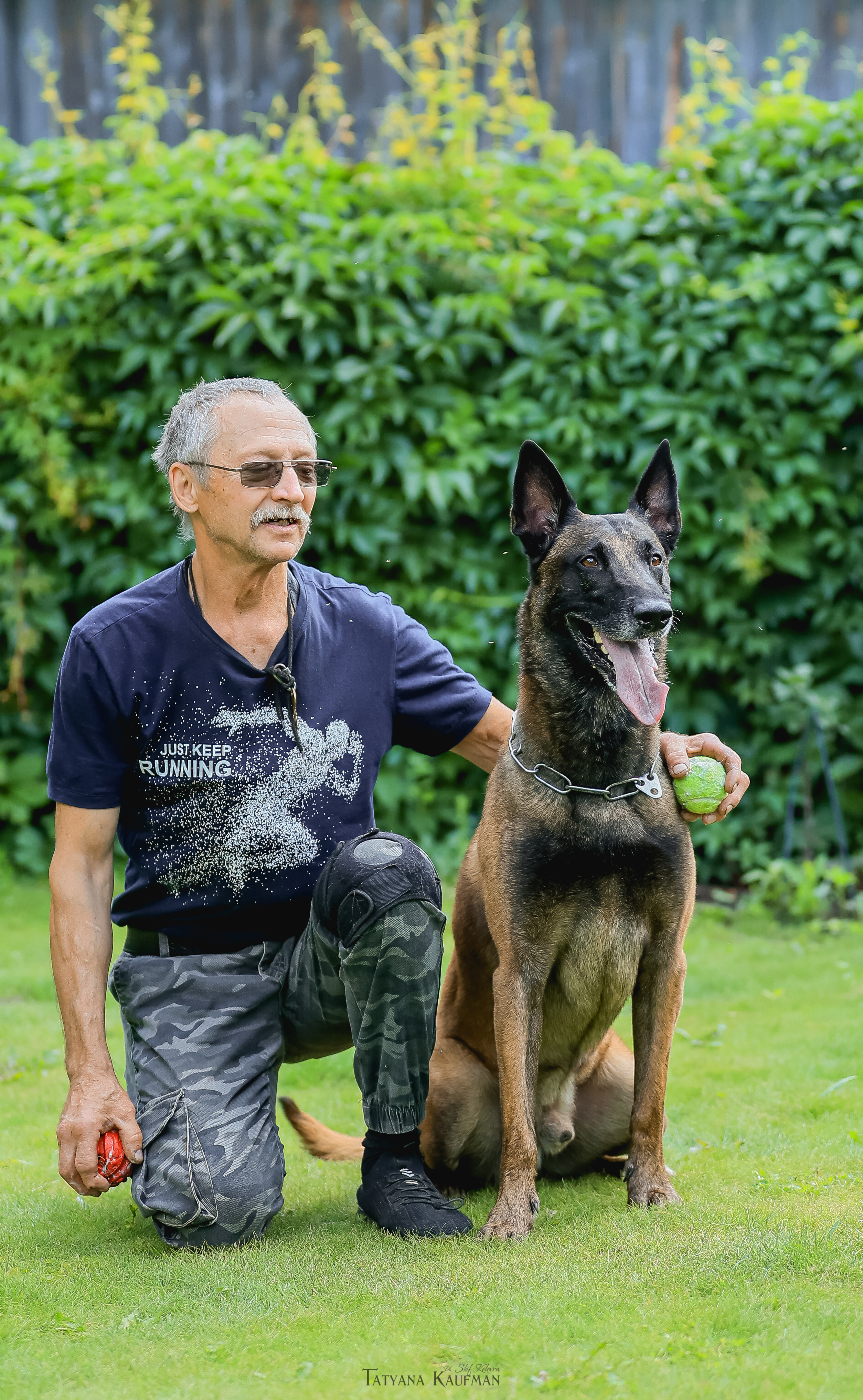 Фотосессия Малинуа. Фотограф Анималист из Новосибирска Татьяна Кауфман