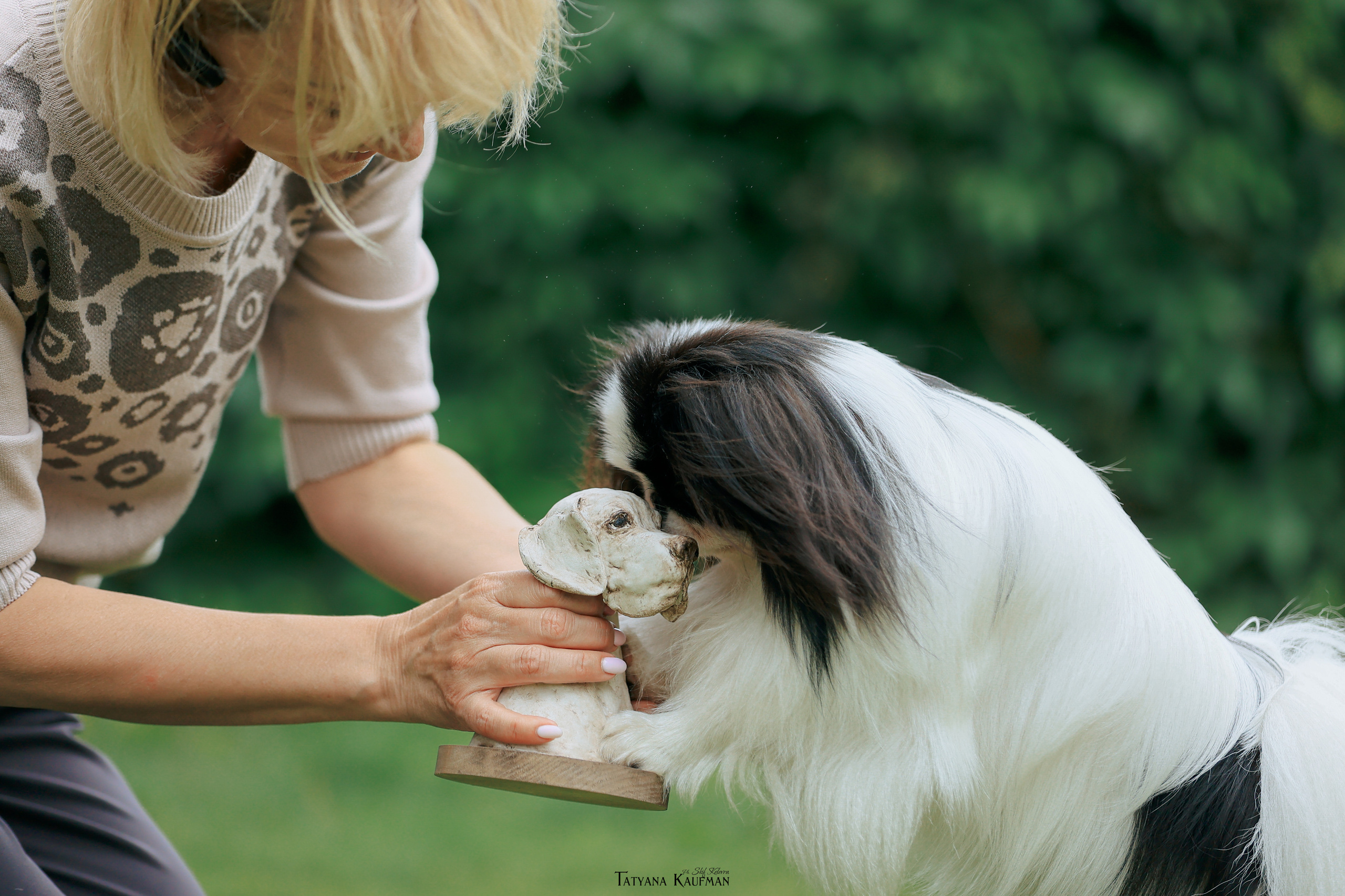 Фотосъемка японских хинов. Фотограф Анималист из Новосибирска Татьяна Кауфман