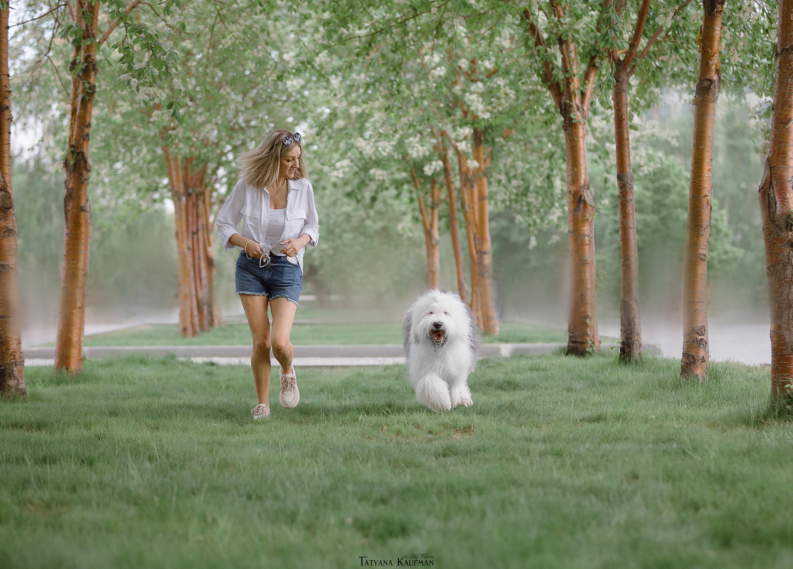 Фотосъемка бобтейлов. Фотограф Анималист из Новосибирска Татьяна Кауфман