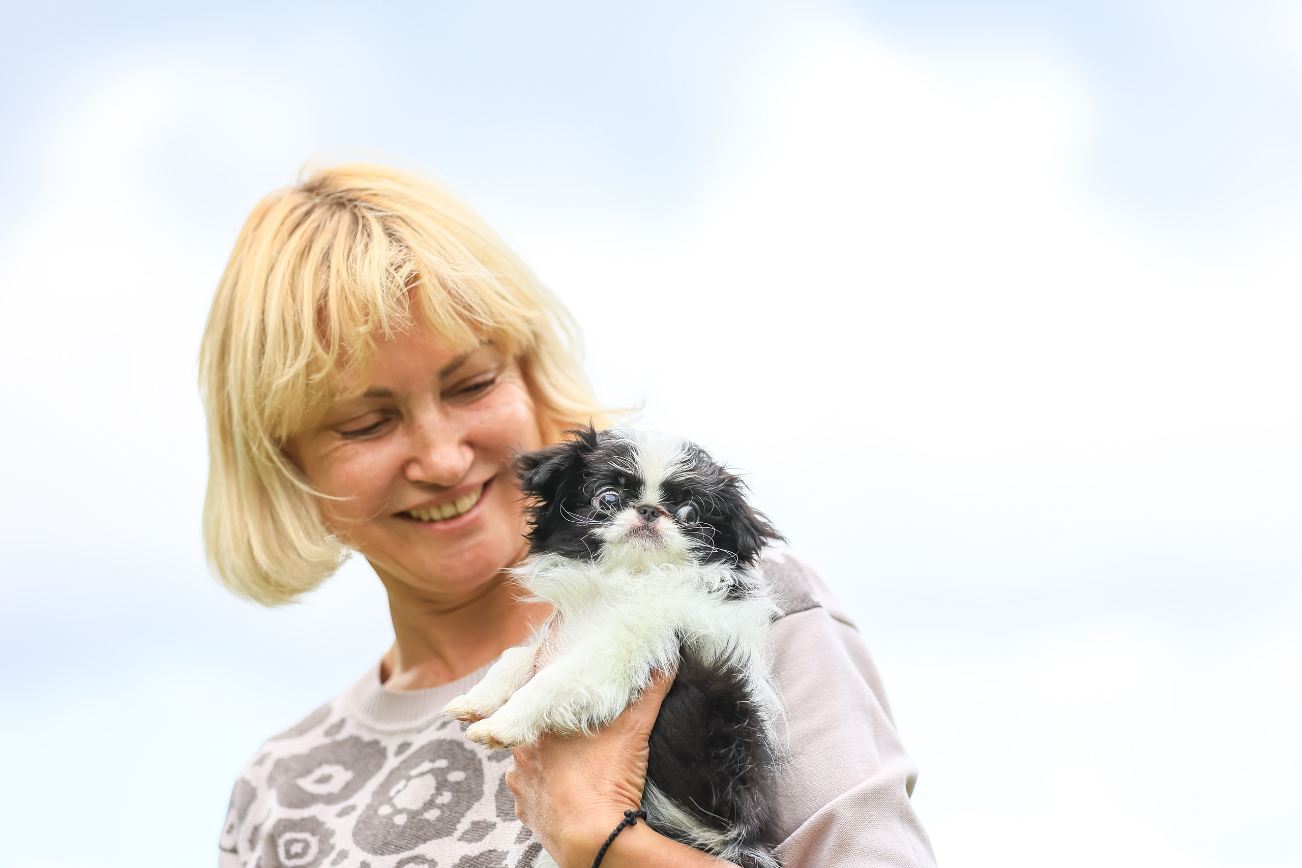 Фотосъемка японских хинов. Фотограф Анималист из Новосибирска Татьяна Кауфман