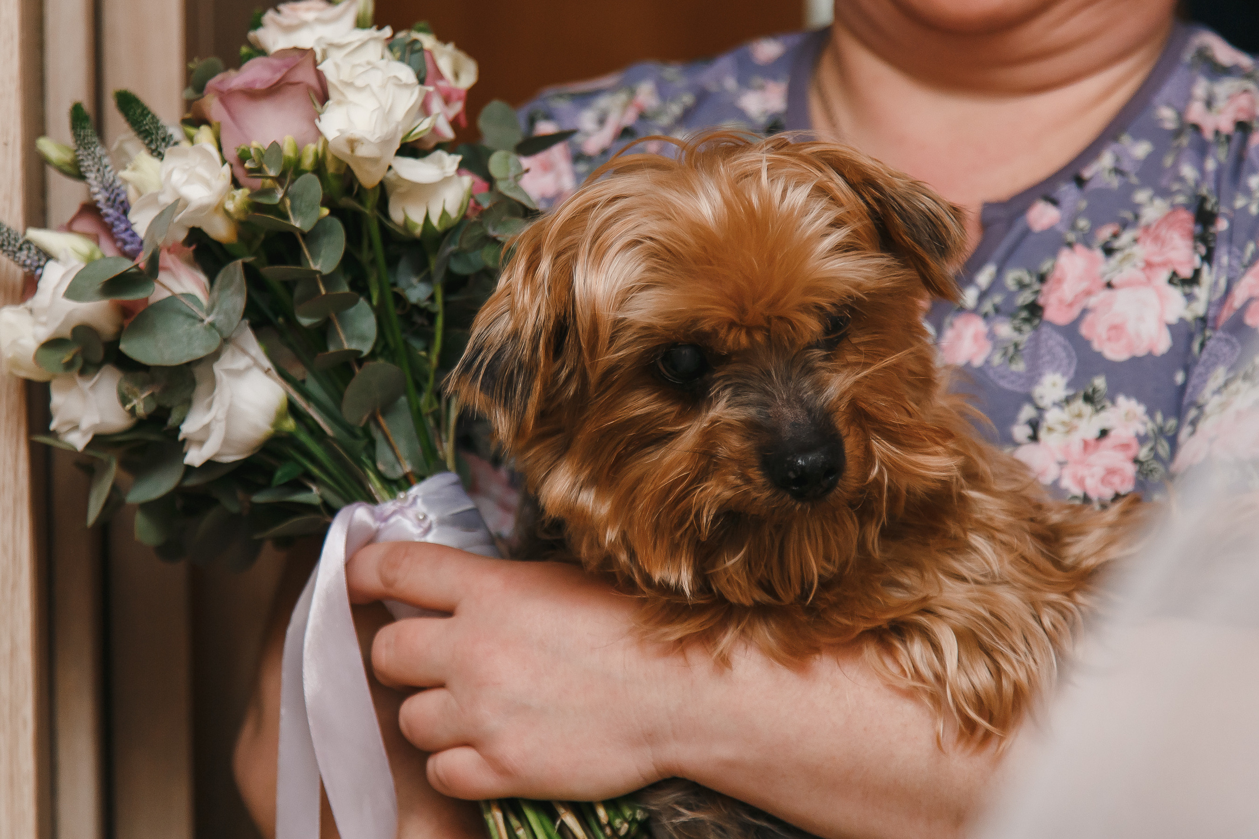 Свадьба Саши и Тани