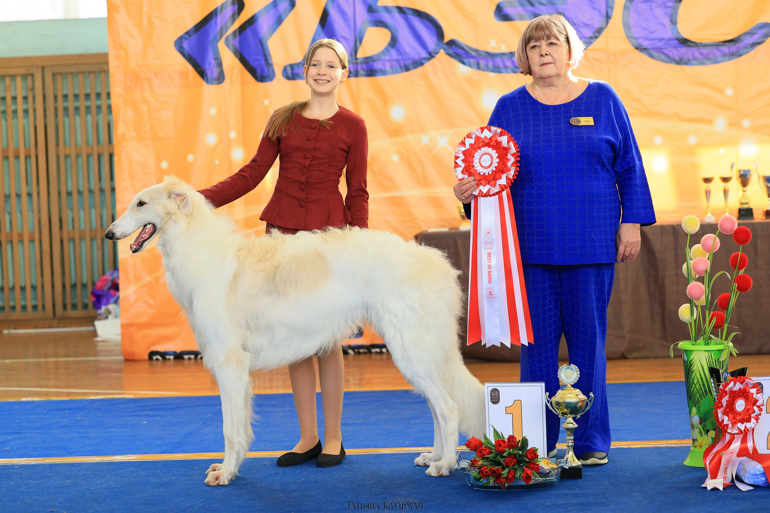 15.03.26 2х выставки собак в Новосибирске. Фотограф Анималист из Новосибирска Татьяна Кауфман