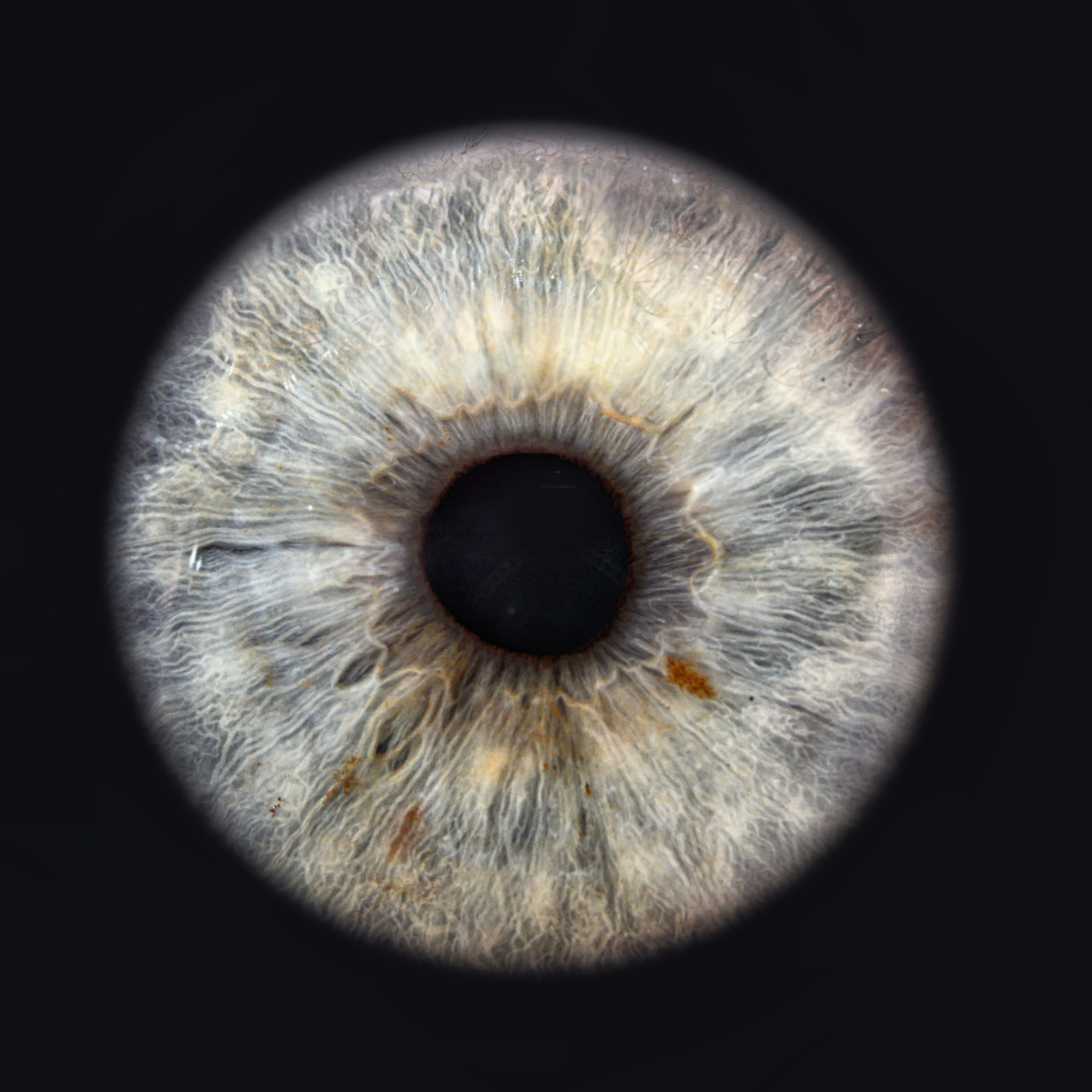 Лучшая фотография радужки глаза в Ростове. Профессиональная фотосъемка. Ростов-на-Дону