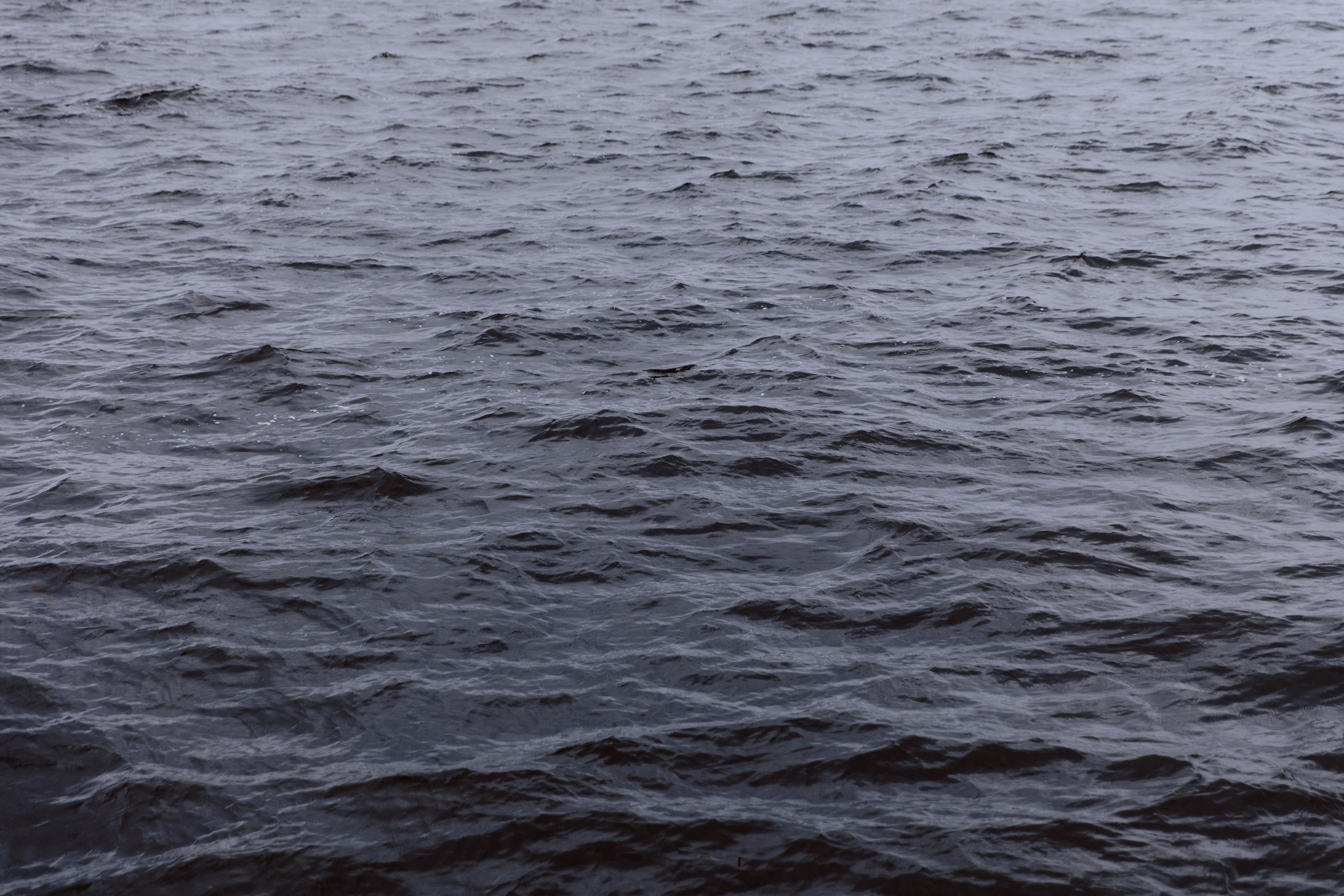 WEDDING. Фотограф, который снимает любовь в Санкт-Петербурге и Череповце