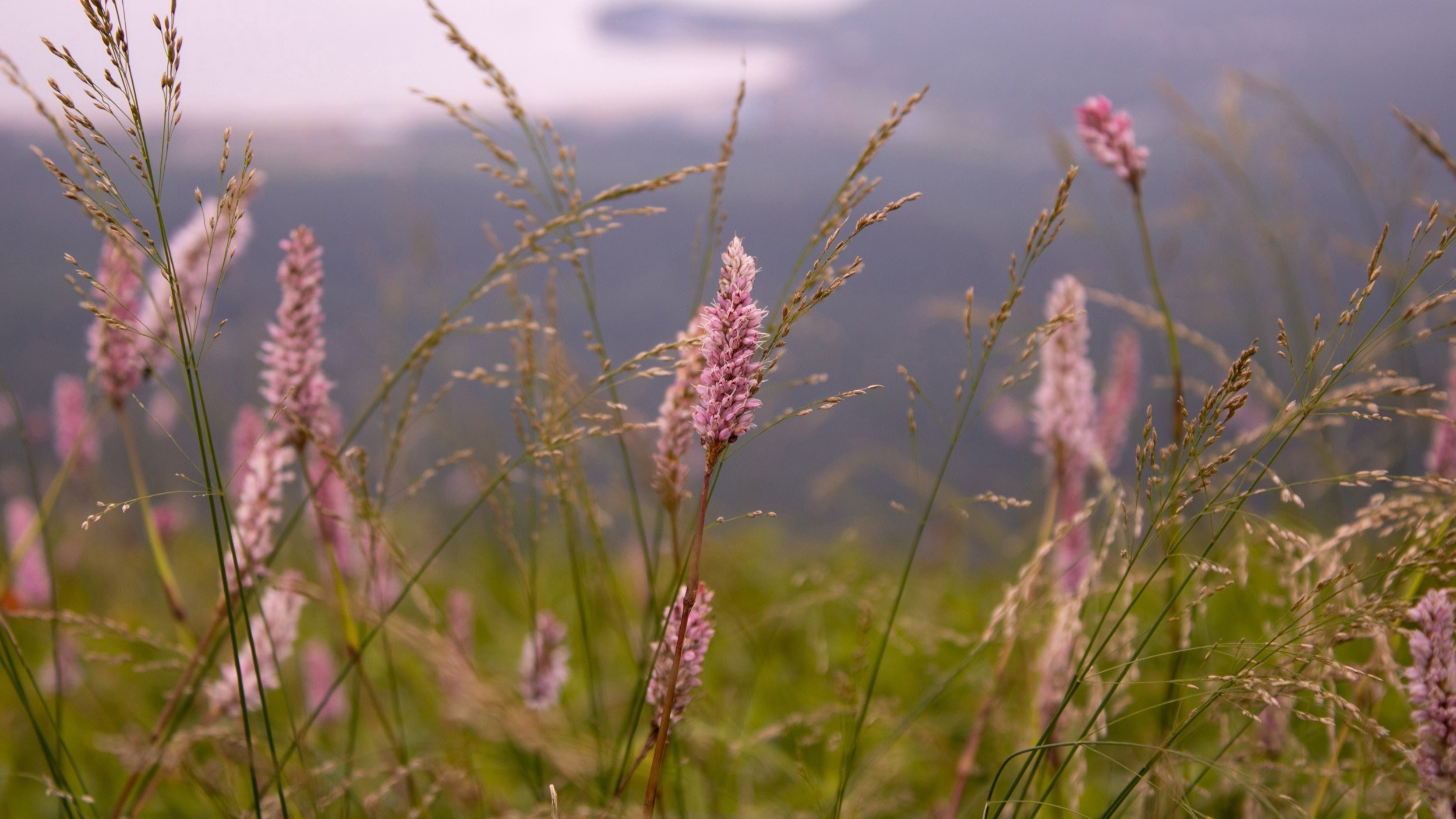 Фотограф Владивосток Такамацу Мия