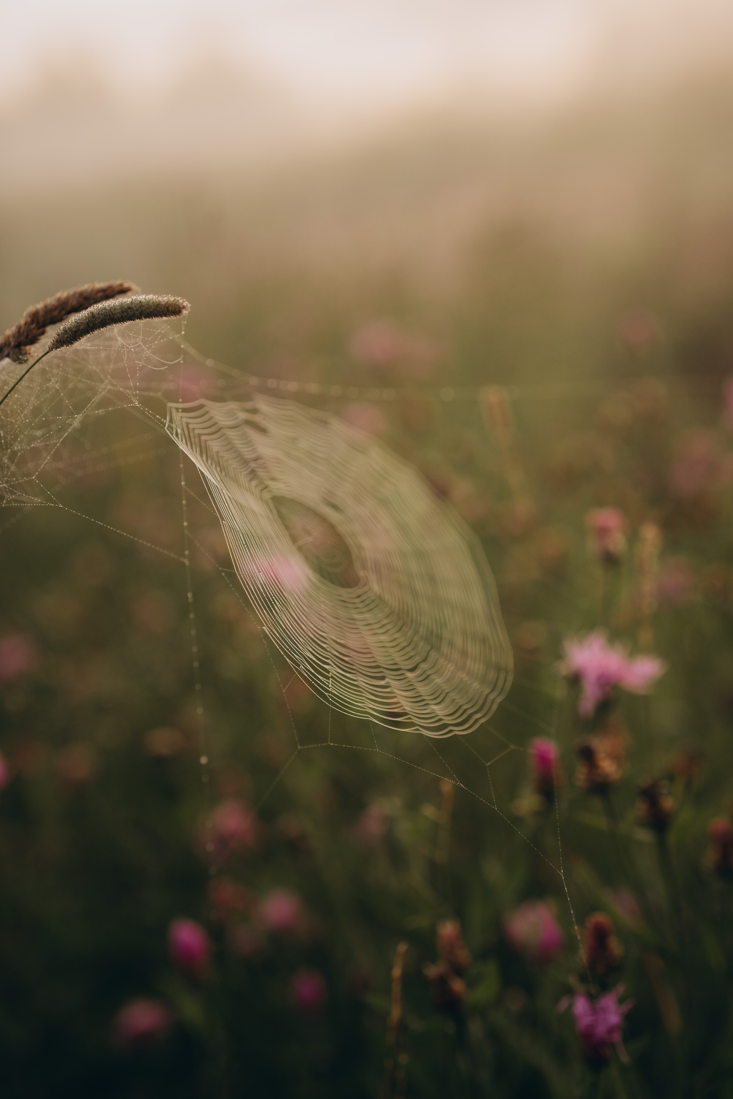 Психолог и фотограф — Dasha Kroti