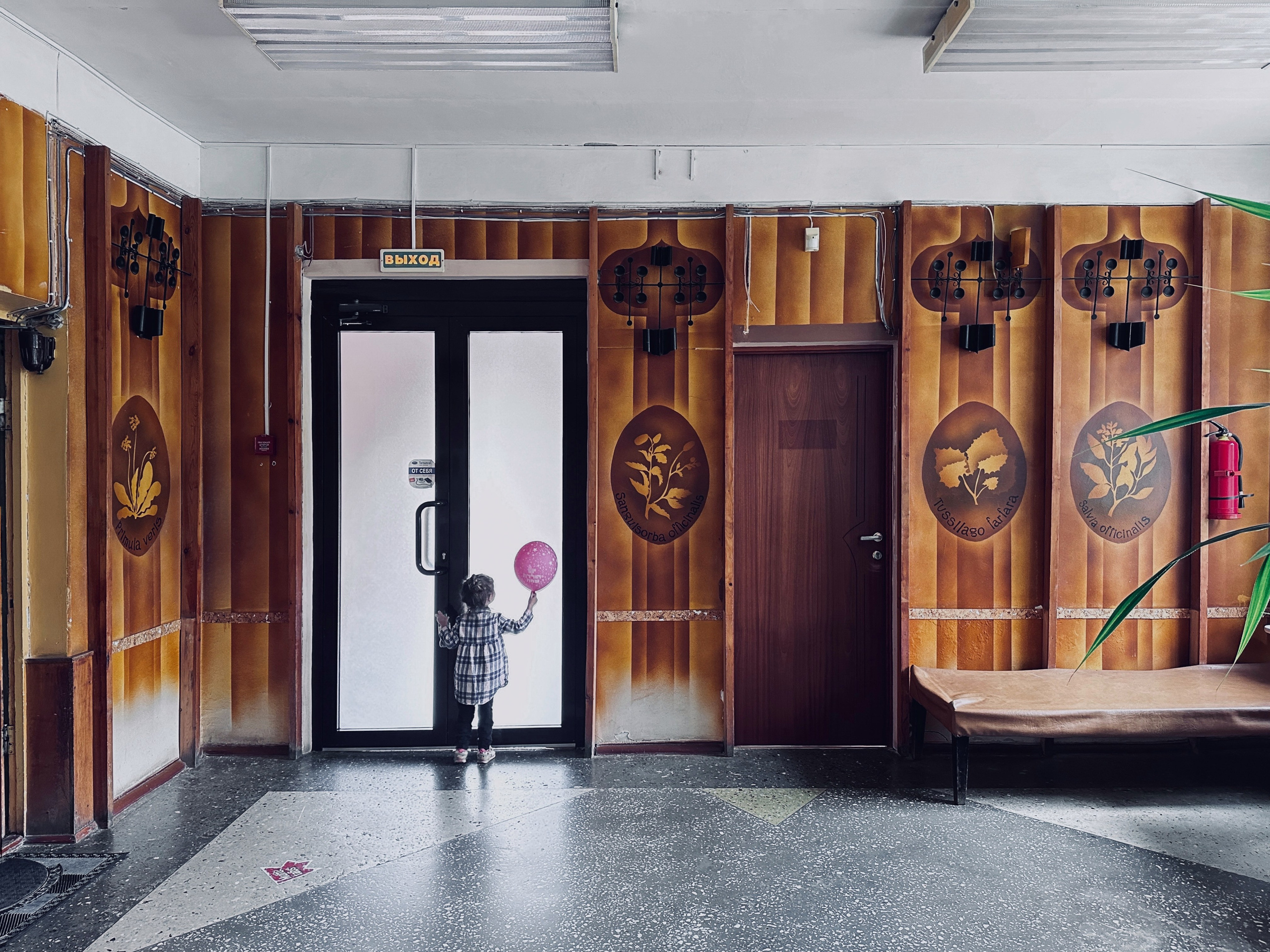 Кисловодск. Смотри, красота!