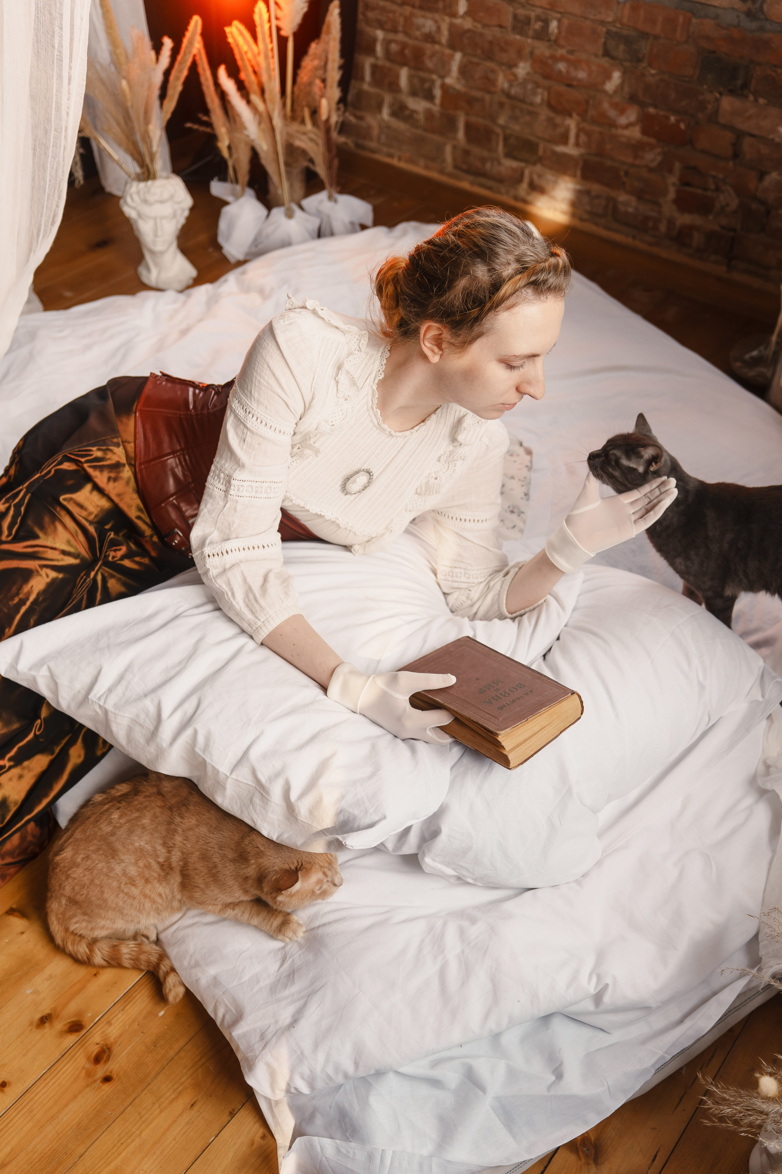 Танцоры и питомцы. ИТВИ